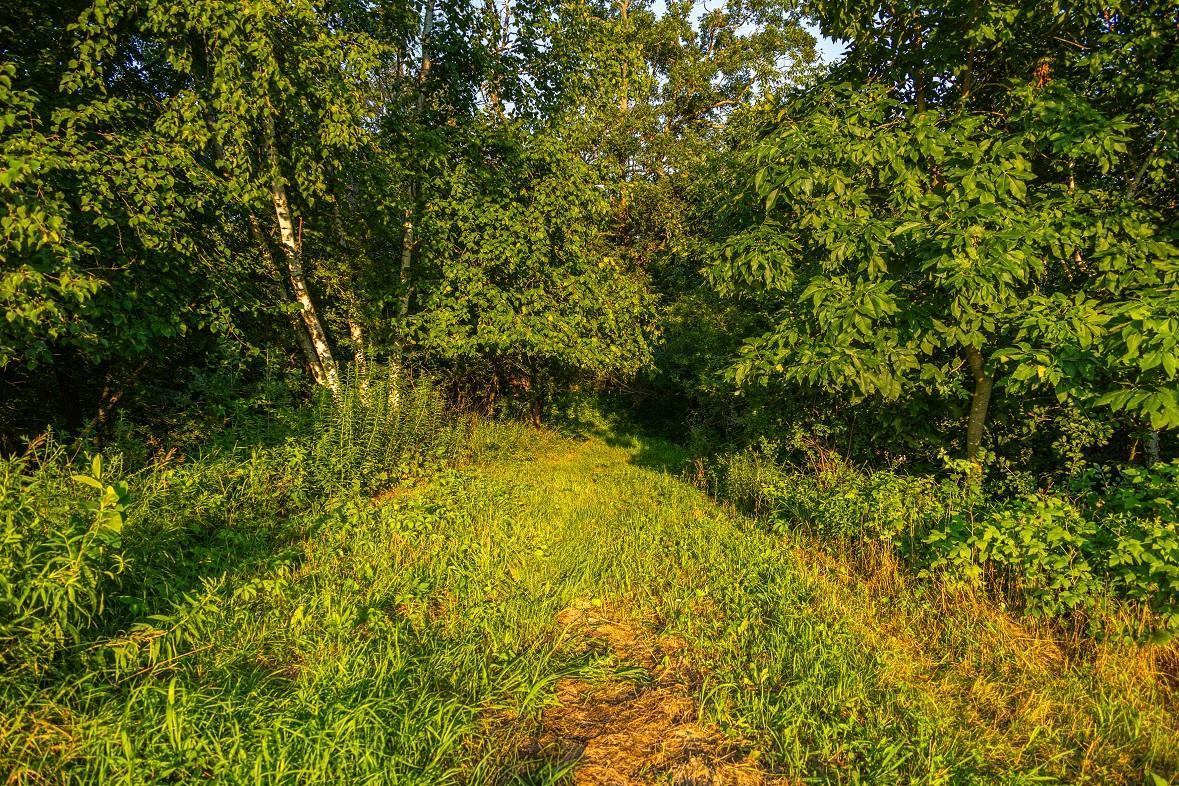0 Cty Road Blair, WI 54616 - Photo 5 of 13