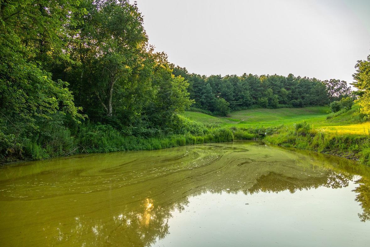 0 Cty Road Blair, WI 54616 - Photo 8 of 13