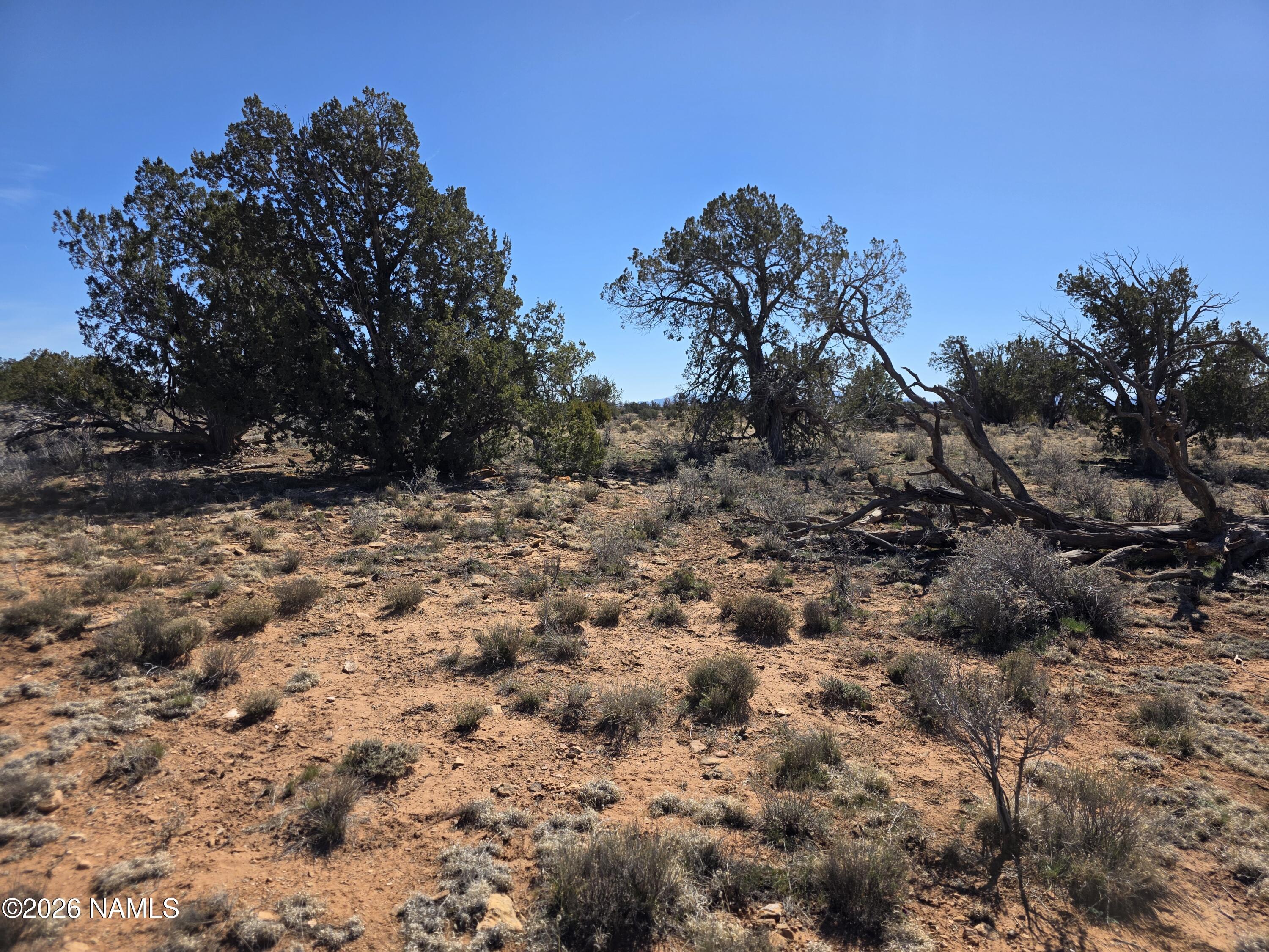 1153 East Indian Meadows Road Williams, AZ 86046 - Photo 13 of 34 a view of a dry yard