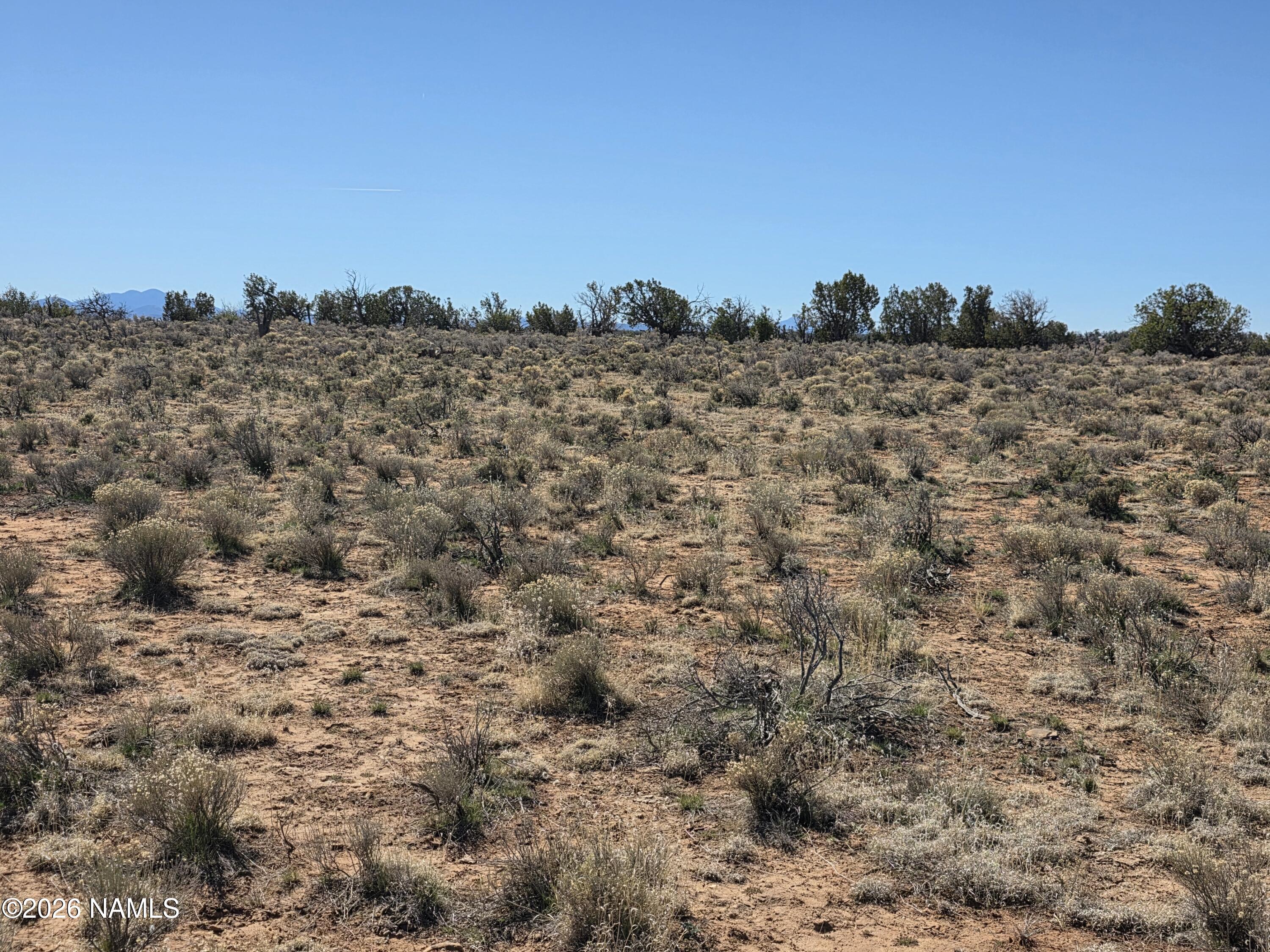 1153 East Indian Meadows Road Williams, AZ 86046 - Photo 18 of 34 a view of a large building with a view of trees