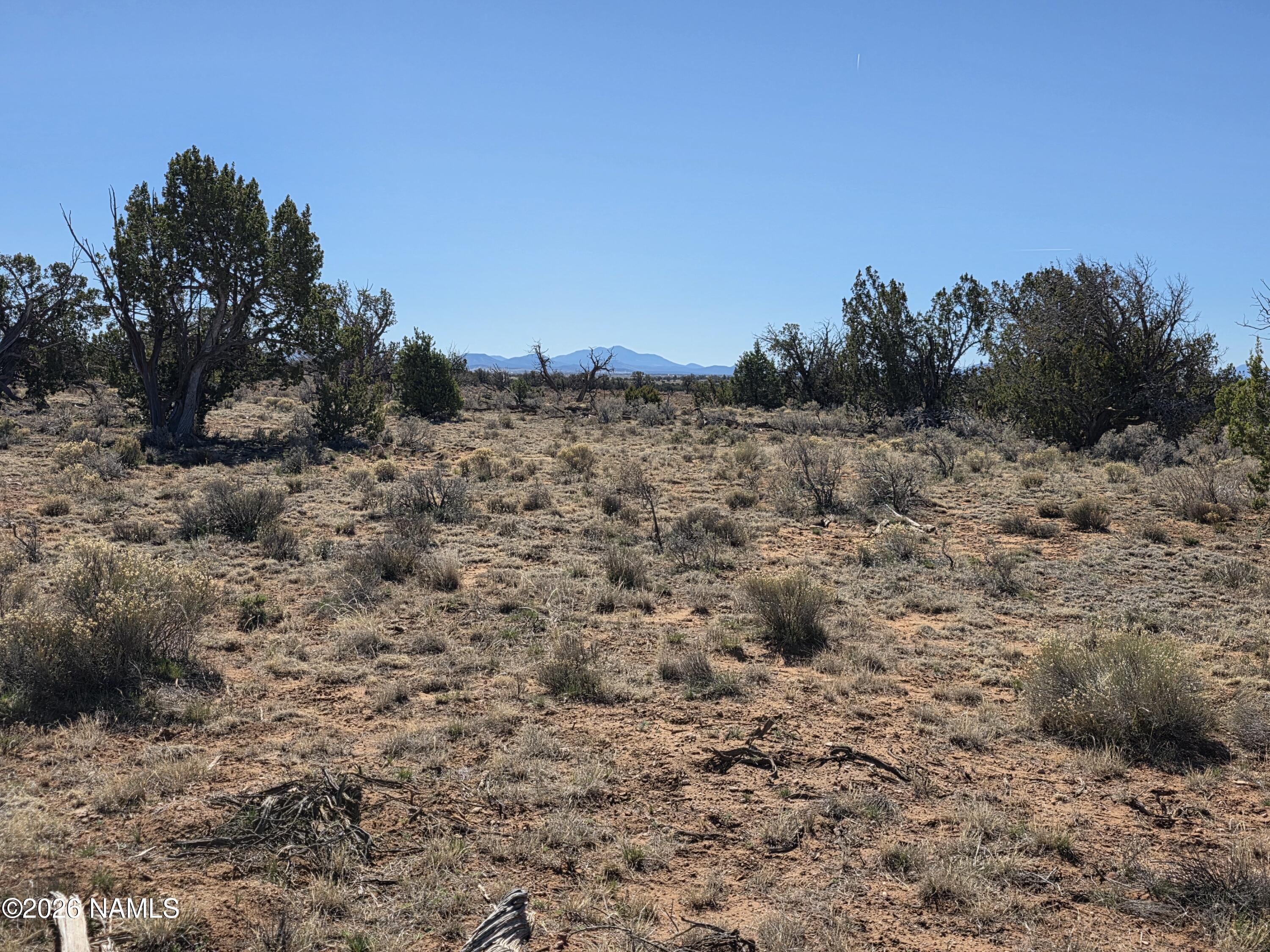 1153 East Indian Meadows Road Williams, AZ 86046 - Photo 19 of 34 a view of a dry space with lots of bushes