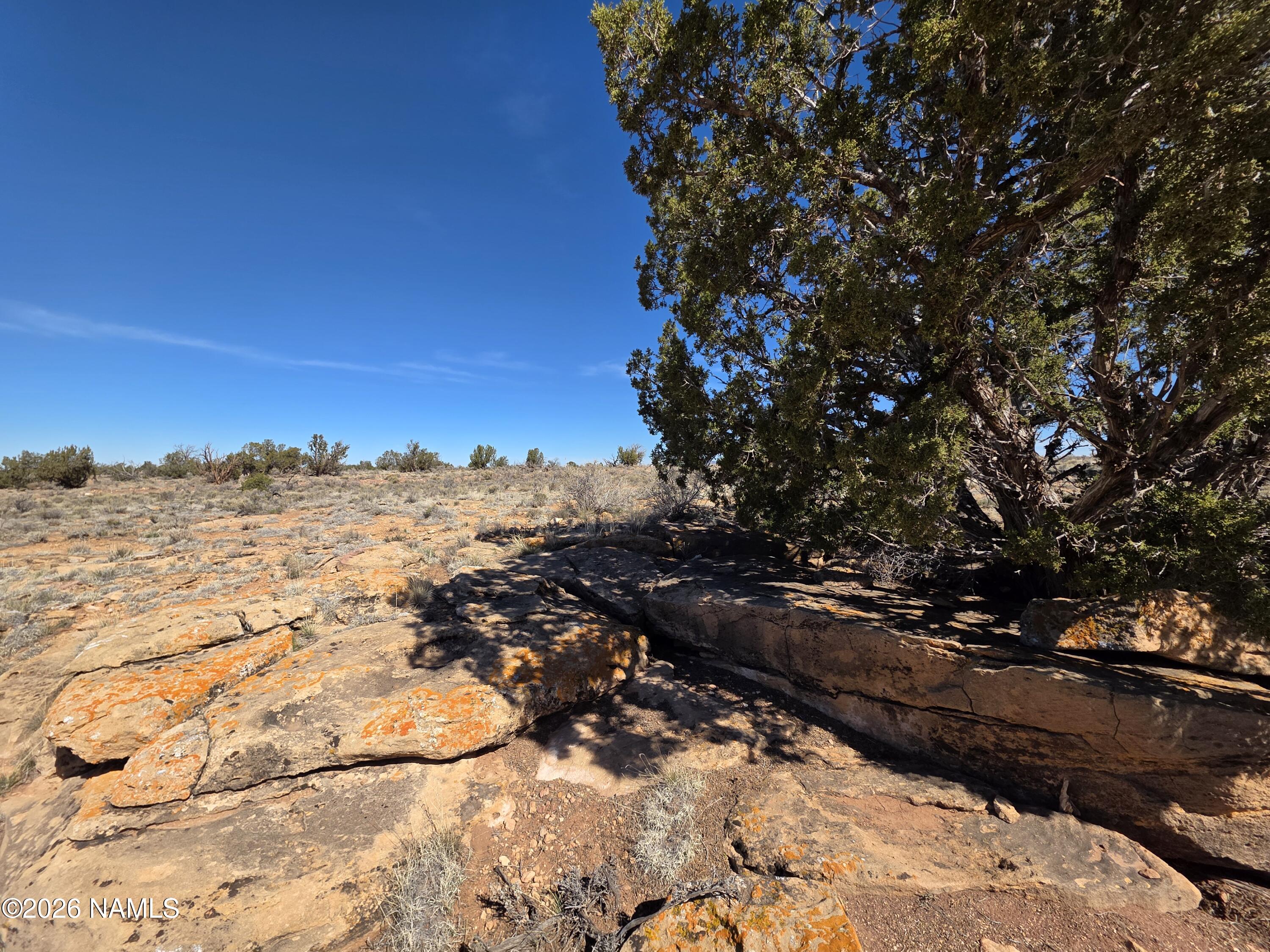 1153 East Indian Meadows Road Williams, AZ 86046 - Photo 2 of 34 a view of a snow on a snow