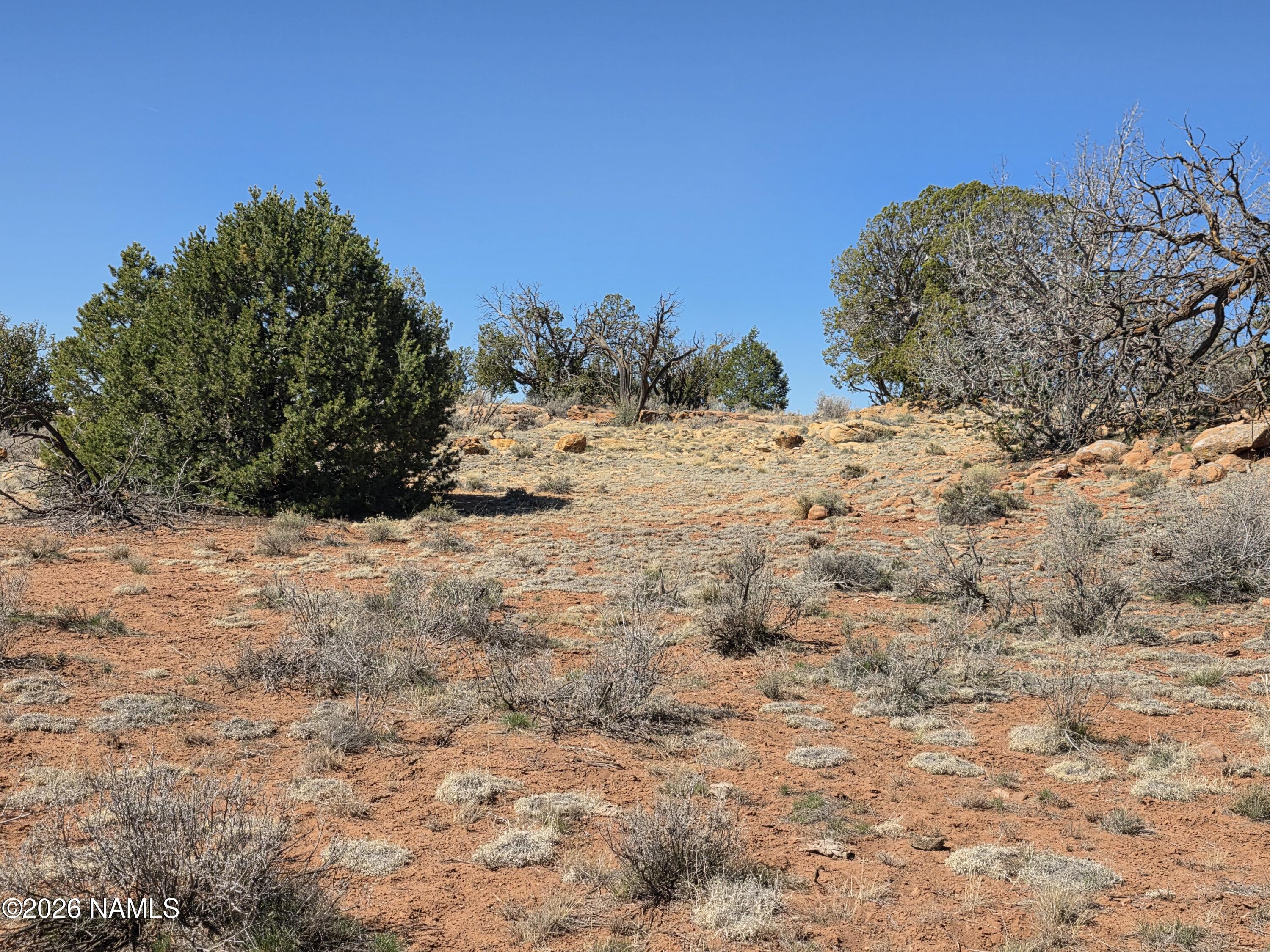 1153 East Indian Meadows Road Williams, AZ 86046 - Photo 22 of 34 a view of mountain view
