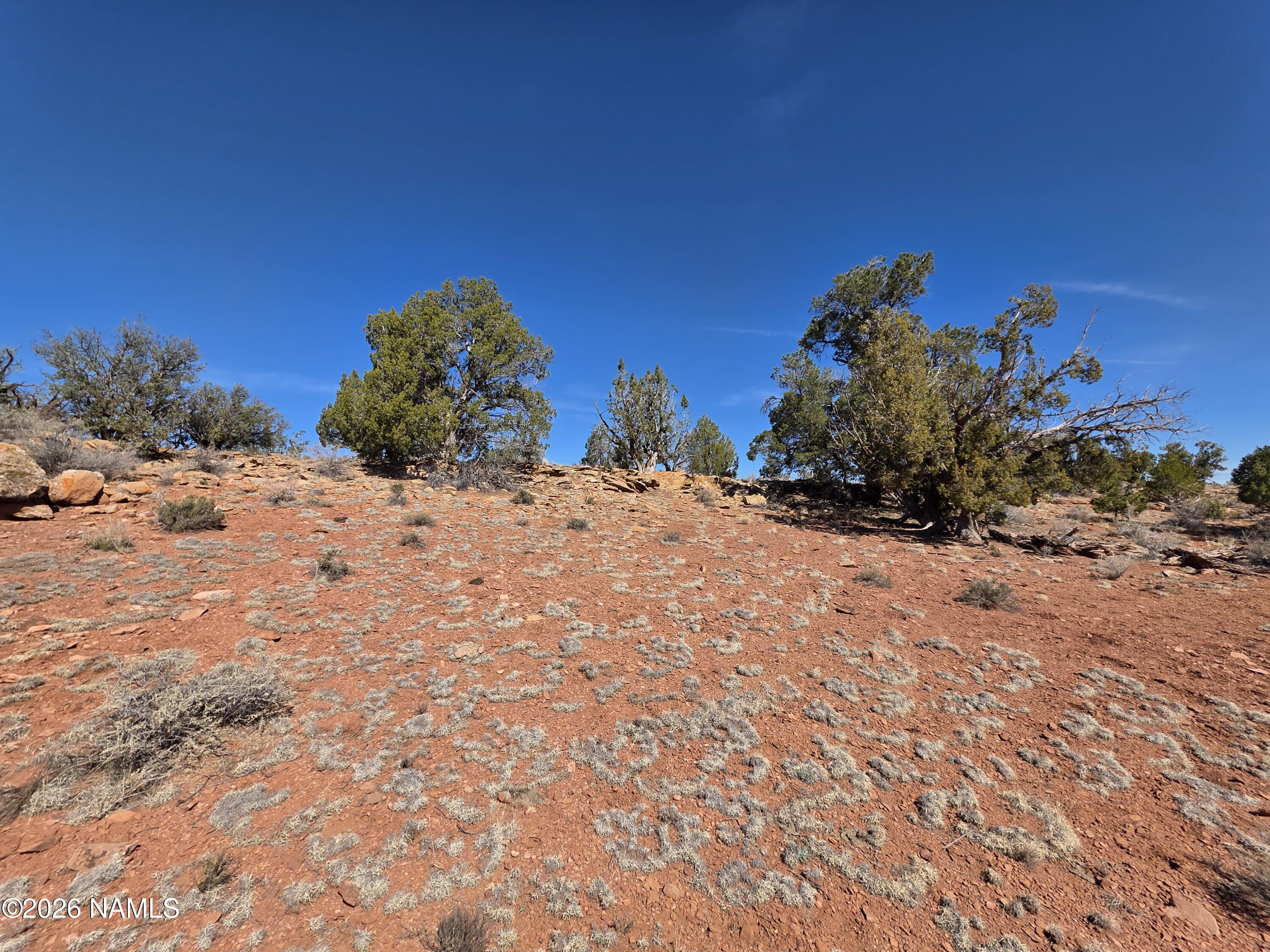 1153 East Indian Meadows Road Williams, AZ 86046 - Photo 23 of 34 a view of a covered with snow in the background