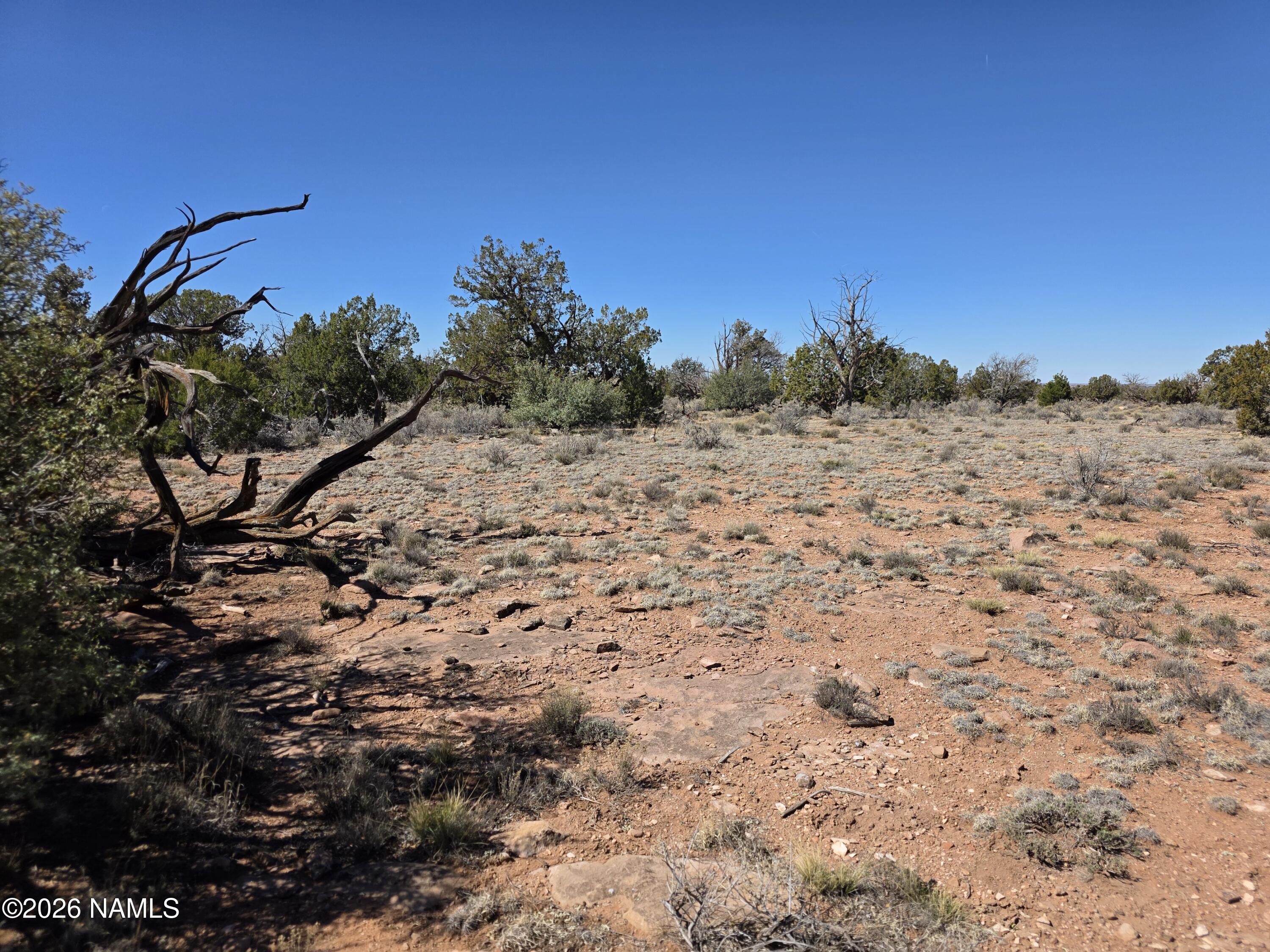 1153 East Indian Meadows Road Williams, AZ 86046 - Photo 24 of 34 a view of a dry yard with trees in the background