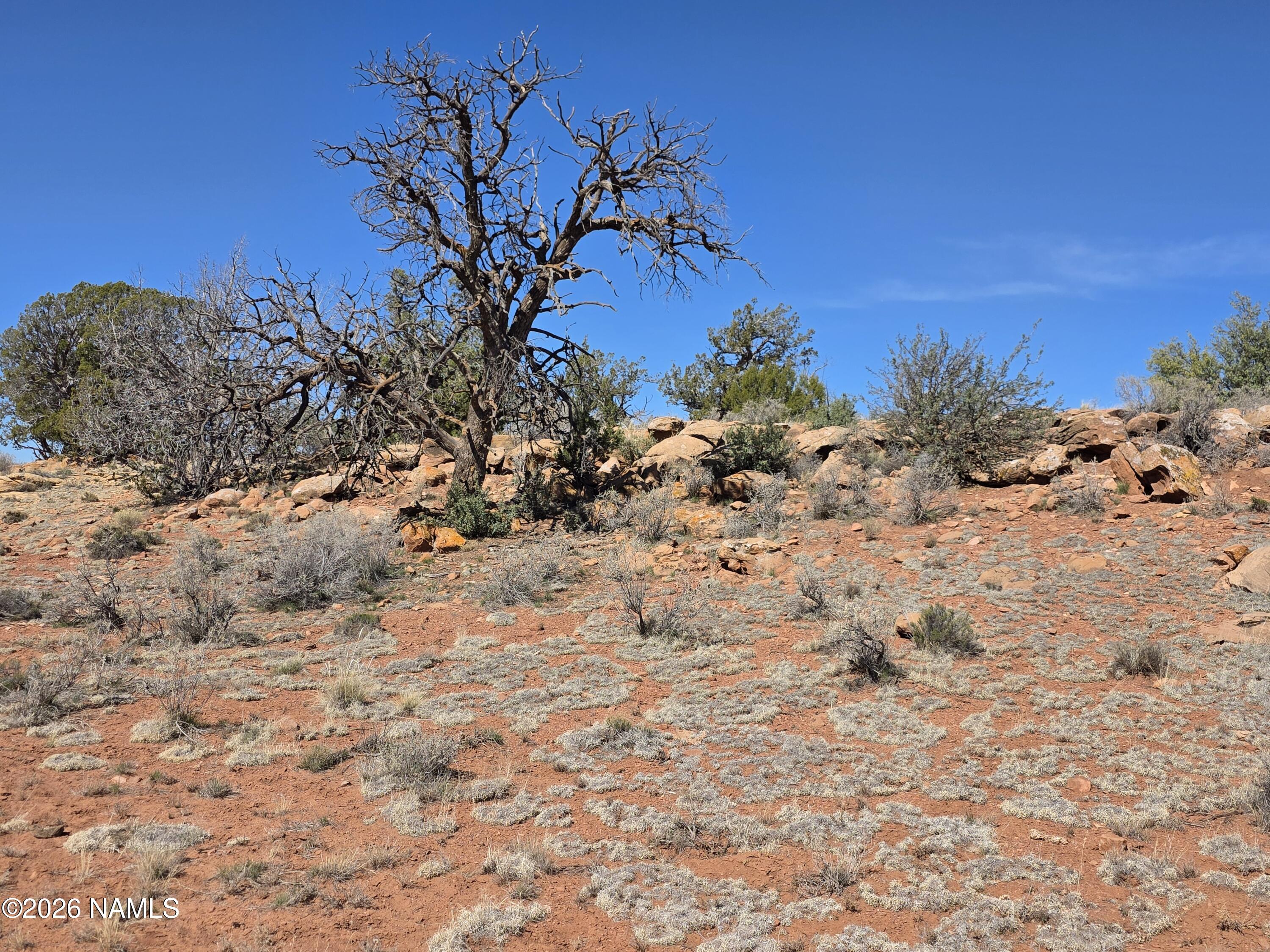 1153 East Indian Meadows Road Williams, AZ 86046 - Photo 25 of 34 a view of a yard with a tree