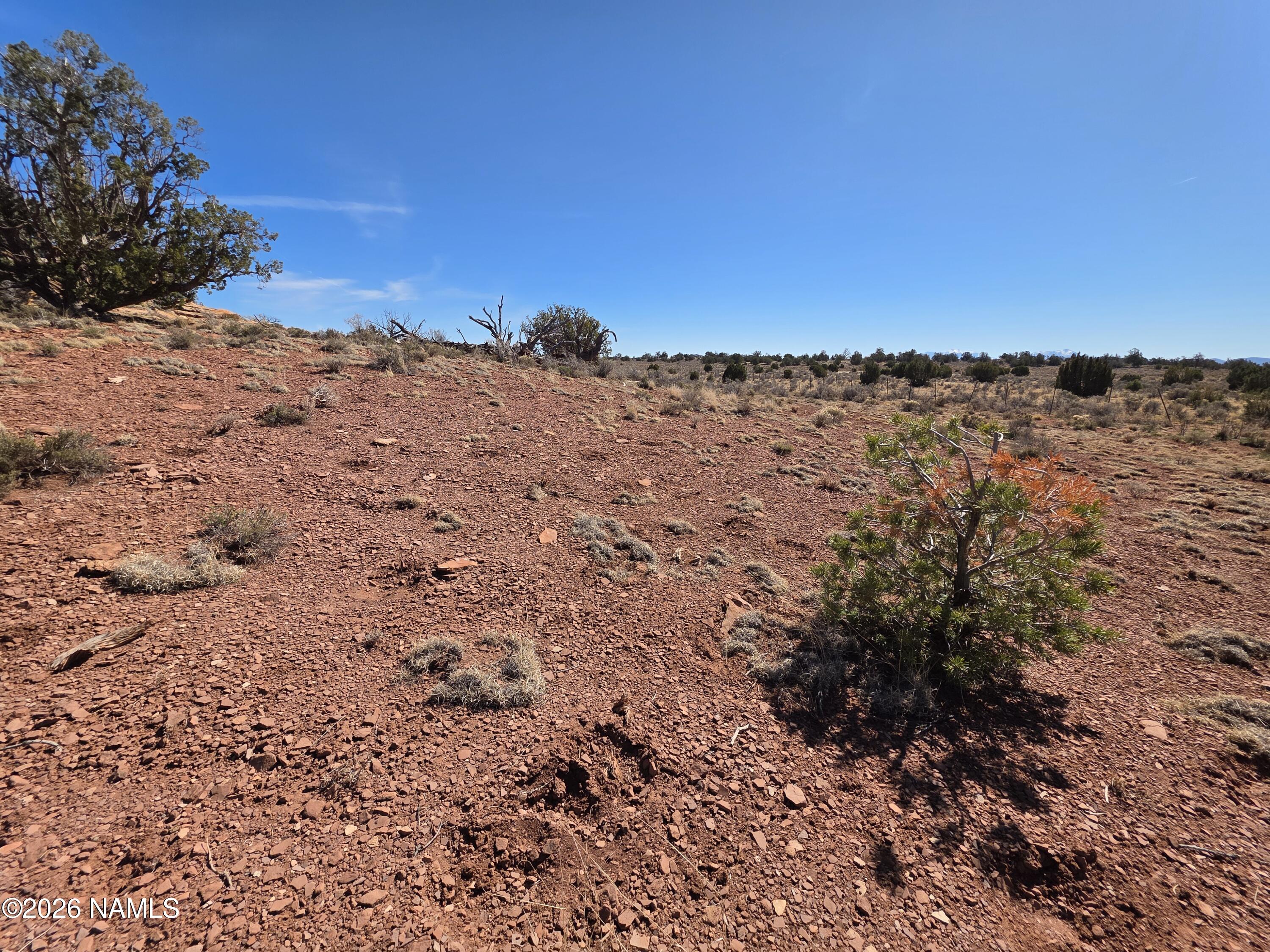 1153 East Indian Meadows Road Williams, AZ 86046 - Photo 27 of 34 a view of a dry yard with lots of bushes
