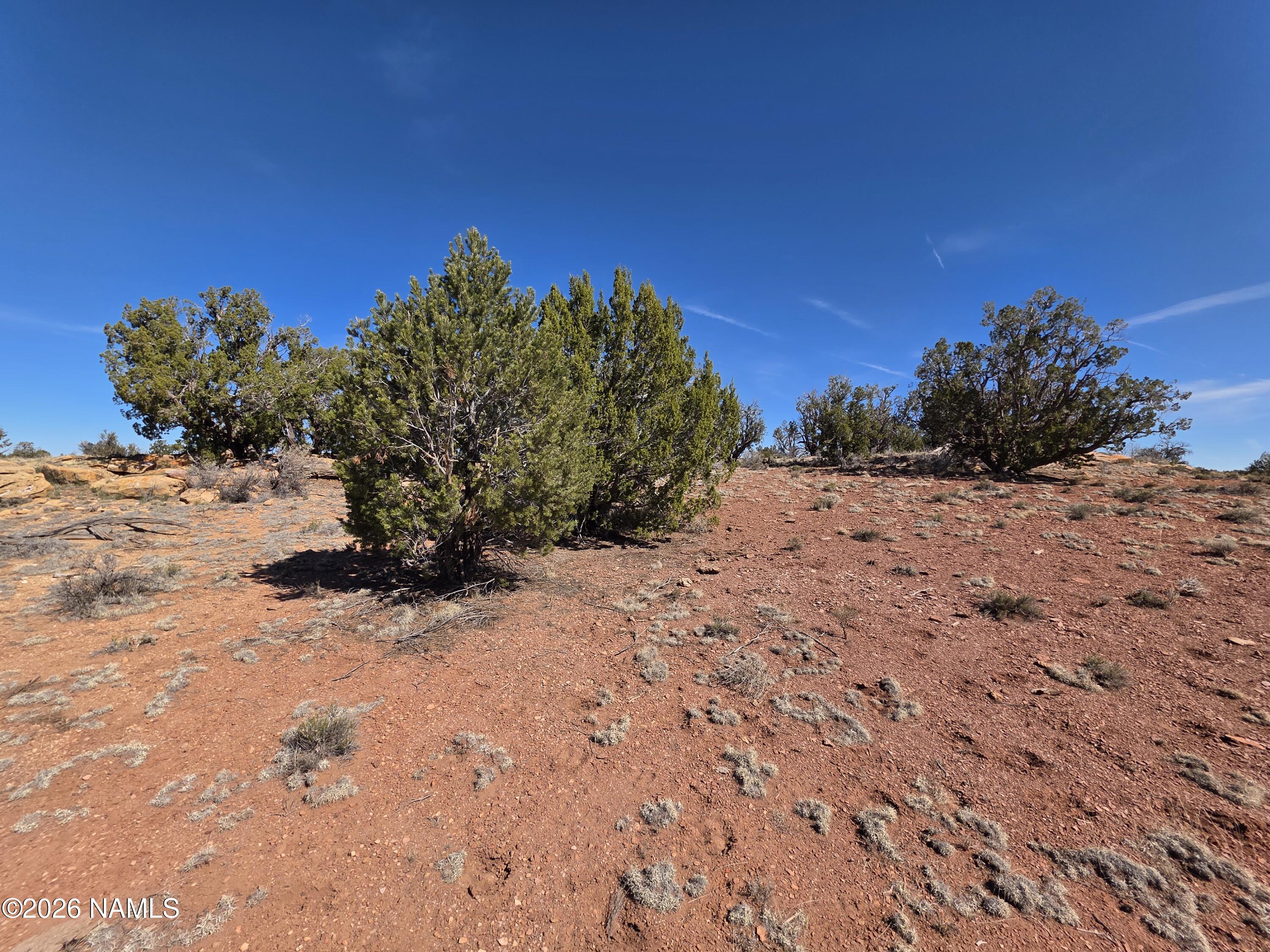 1153 East Indian Meadows Road Williams, AZ 86046 - Photo 29 of 34 a view of a dry yard with a tree