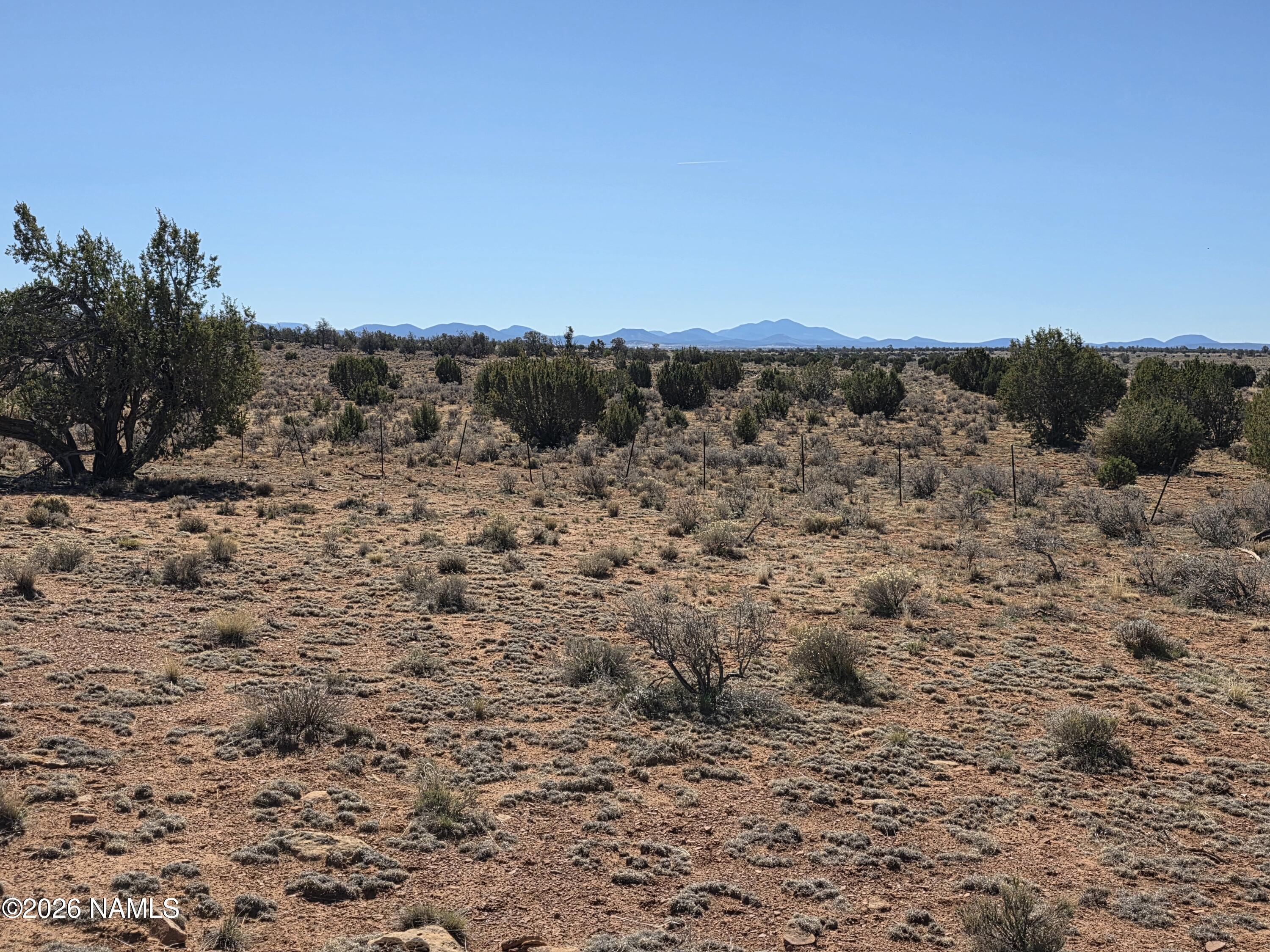 1153 East Indian Meadows Road Williams, AZ 86046 - Photo 30 of 34 a view of a dry yard with trees in the background