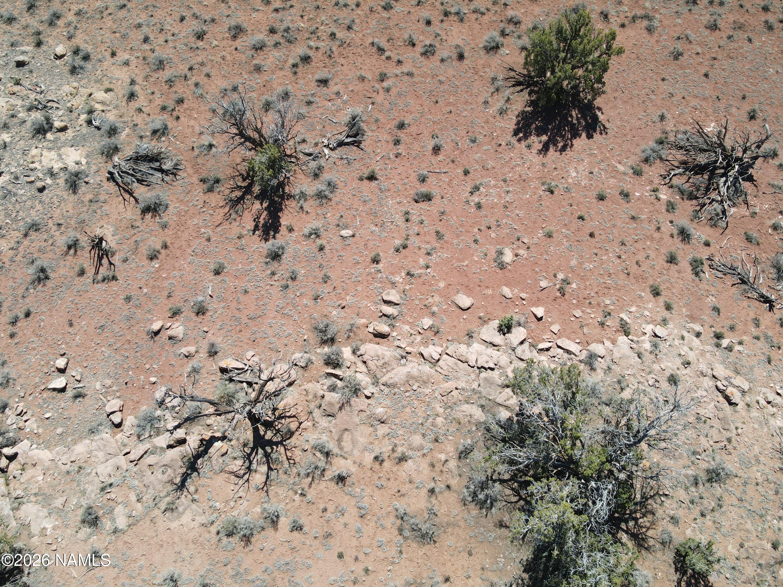 1153 East Indian Meadows Road Williams, AZ 86046 - Photo 31 of 34 a view of a dry yard