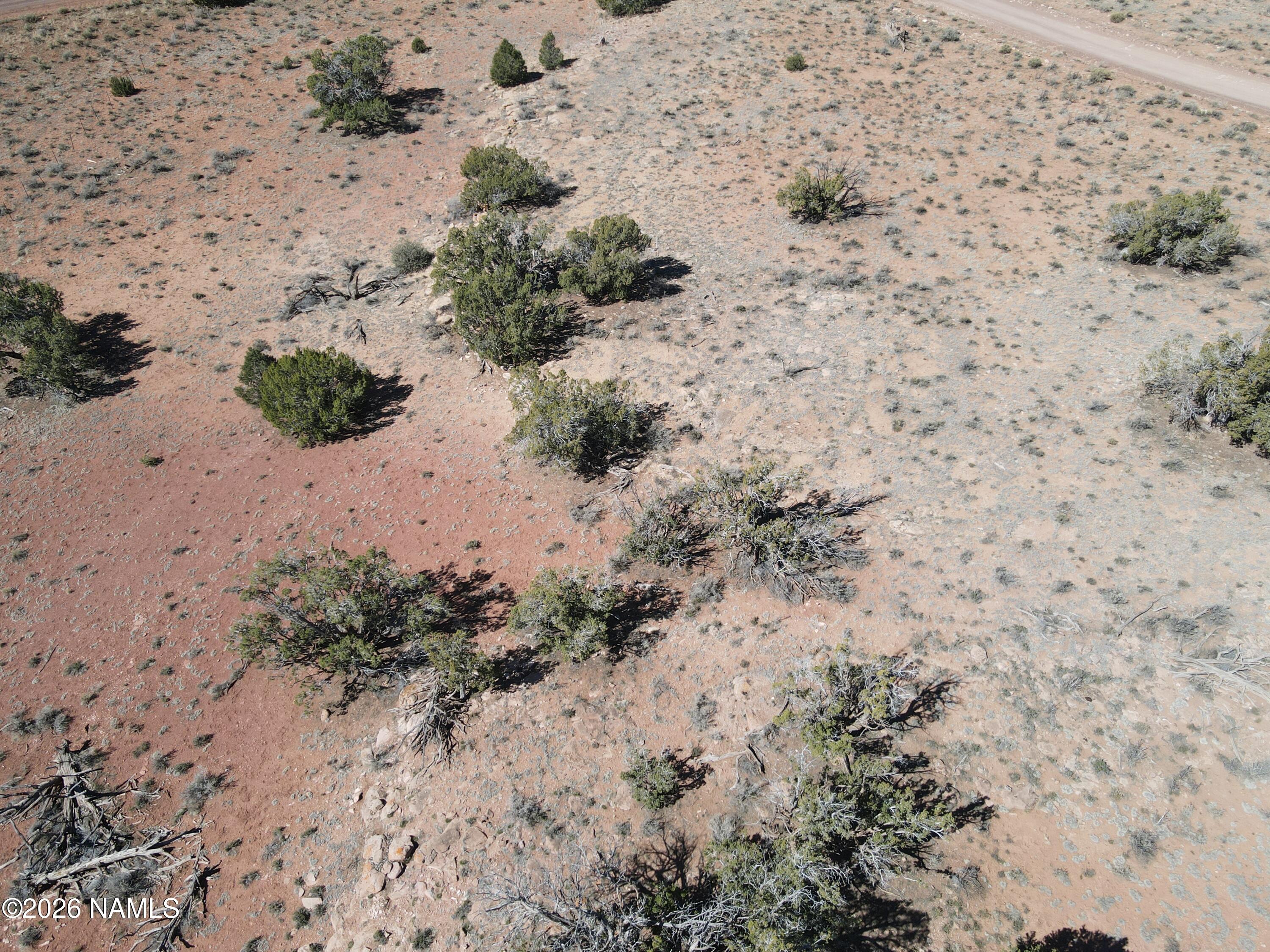 1153 East Indian Meadows Road Williams, AZ 86046 - Photo 32 of 34 a view of a dry yard with lots of bushes