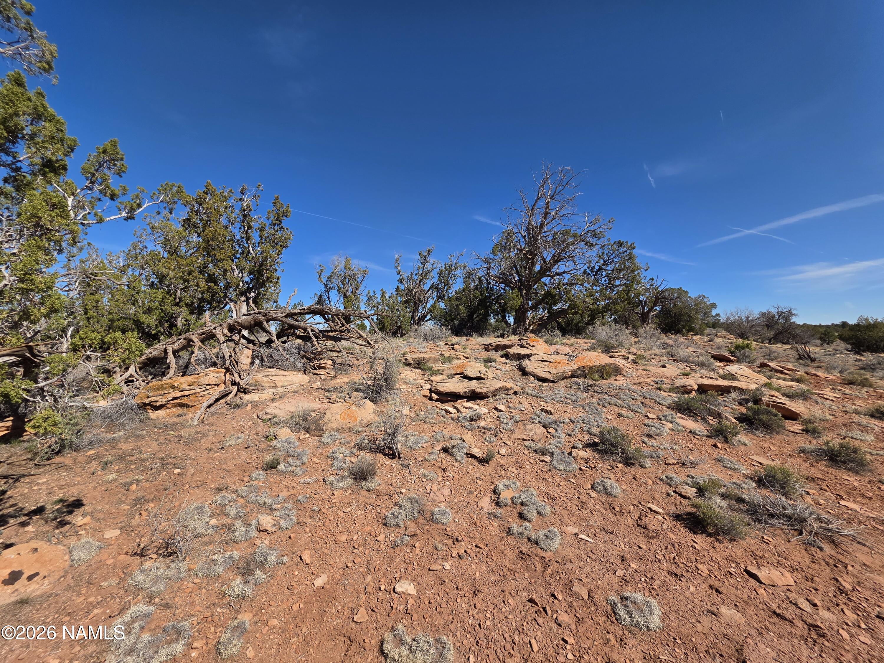 1153 East Indian Meadows Road Williams, AZ 86046 - Photo 5 of 34 a view of a dry yard with lots of bushes