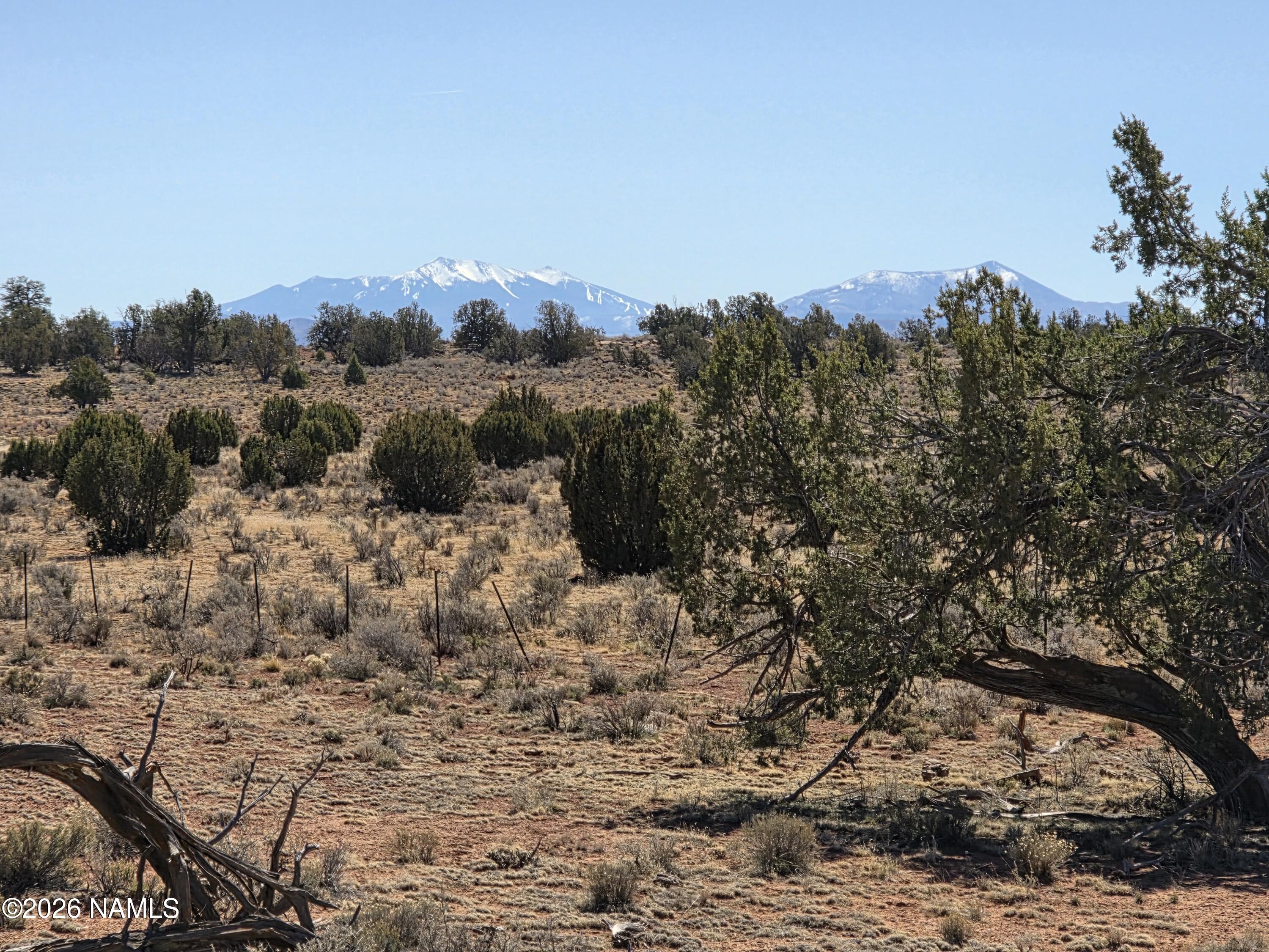 1153 East Indian Meadows Road Williams, AZ 86046 - Photo 7 of 34 a view of a dry yard with trees