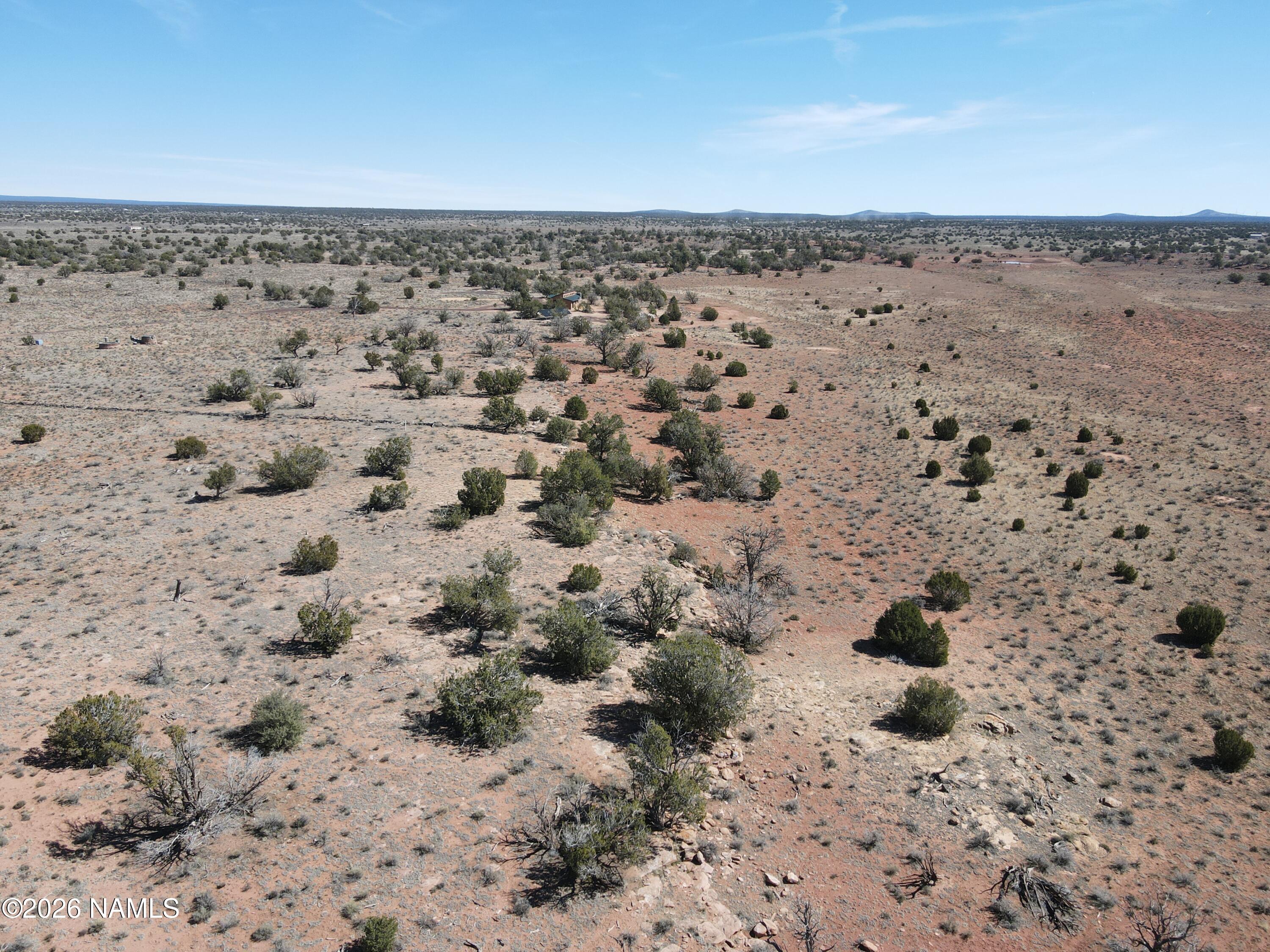 1153 East Indian Meadows Road Williams, AZ 86046 - Photo 8 of 34 a view of a dry yard covered with trees