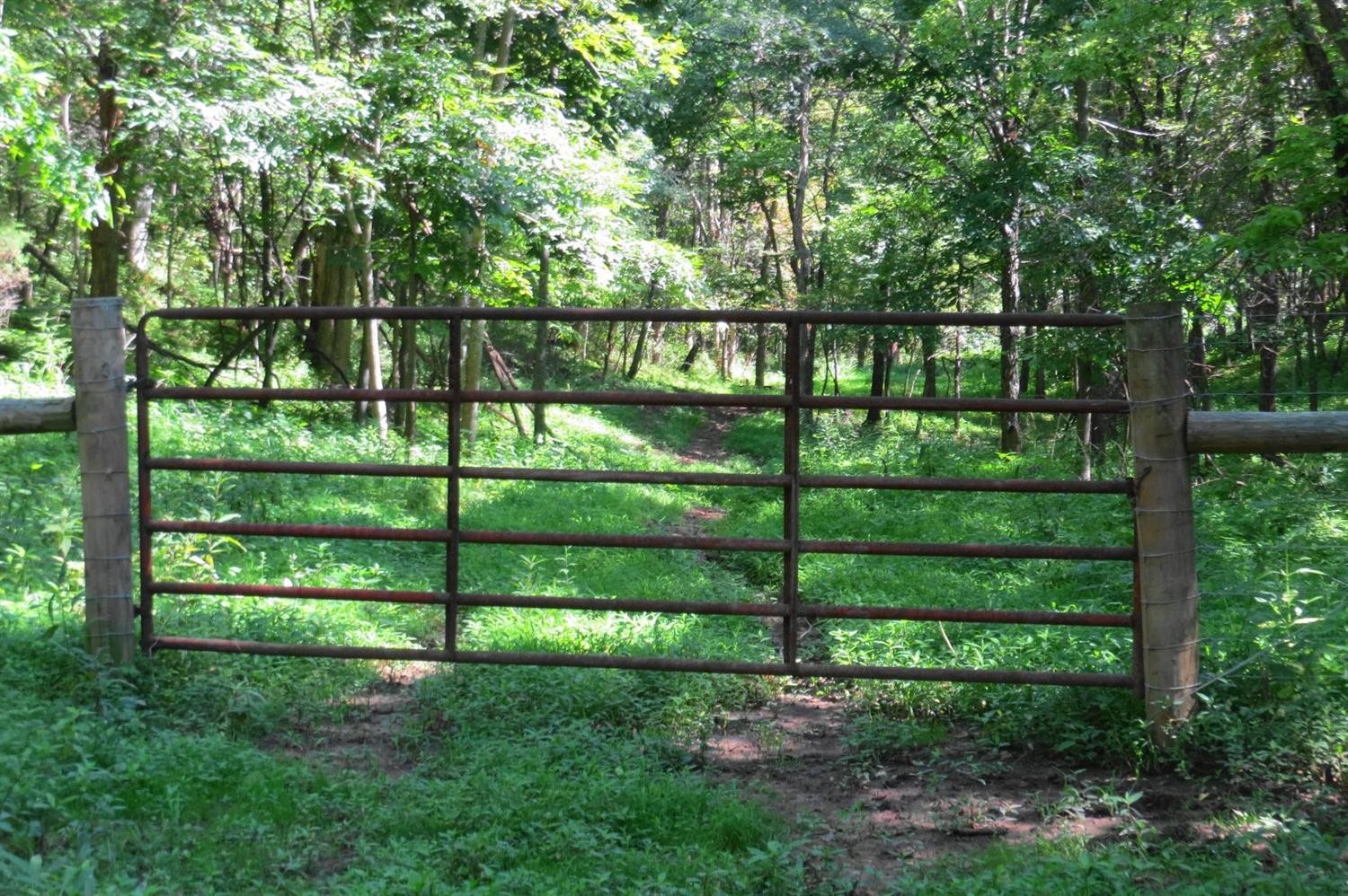 636 Ceder Road Owingsville, KY 40360 - Photo 7 of 22 Photo 7