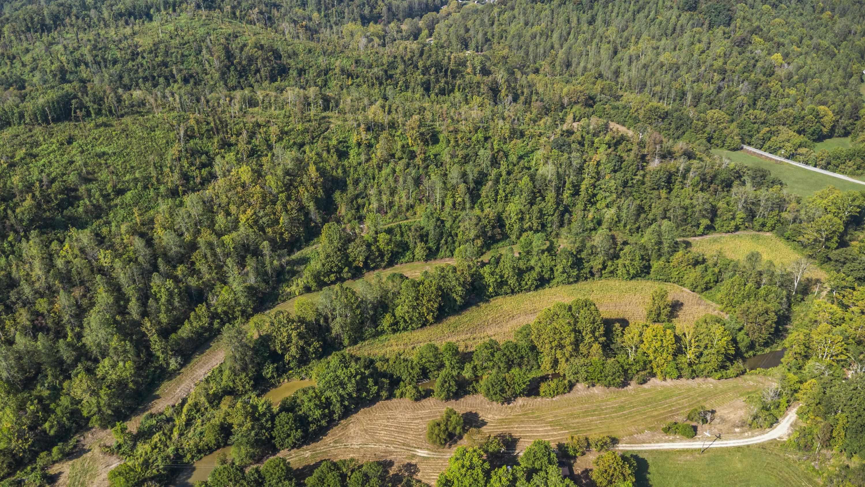 0 Tate Hollow Road Louisa, KY 41230 - Photo 42 of 50