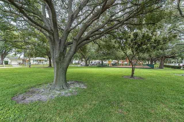 a childrens park with lots of swings and slides