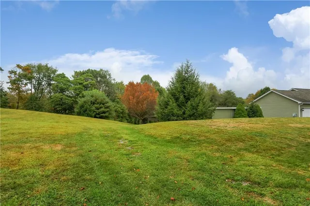 a backyard of a house with lots of green space