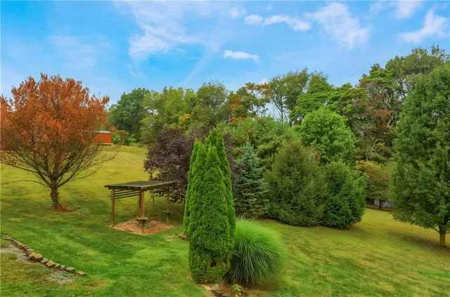 a view of a garden with a bench in a garden
