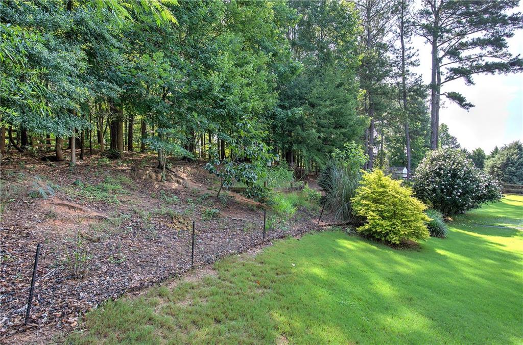 44 Berryhill Place Cartersville, GA 30121 - Photo 54 of 57