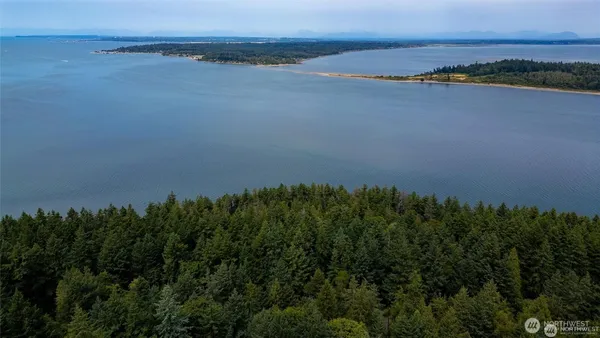 a view of an ocean and beach