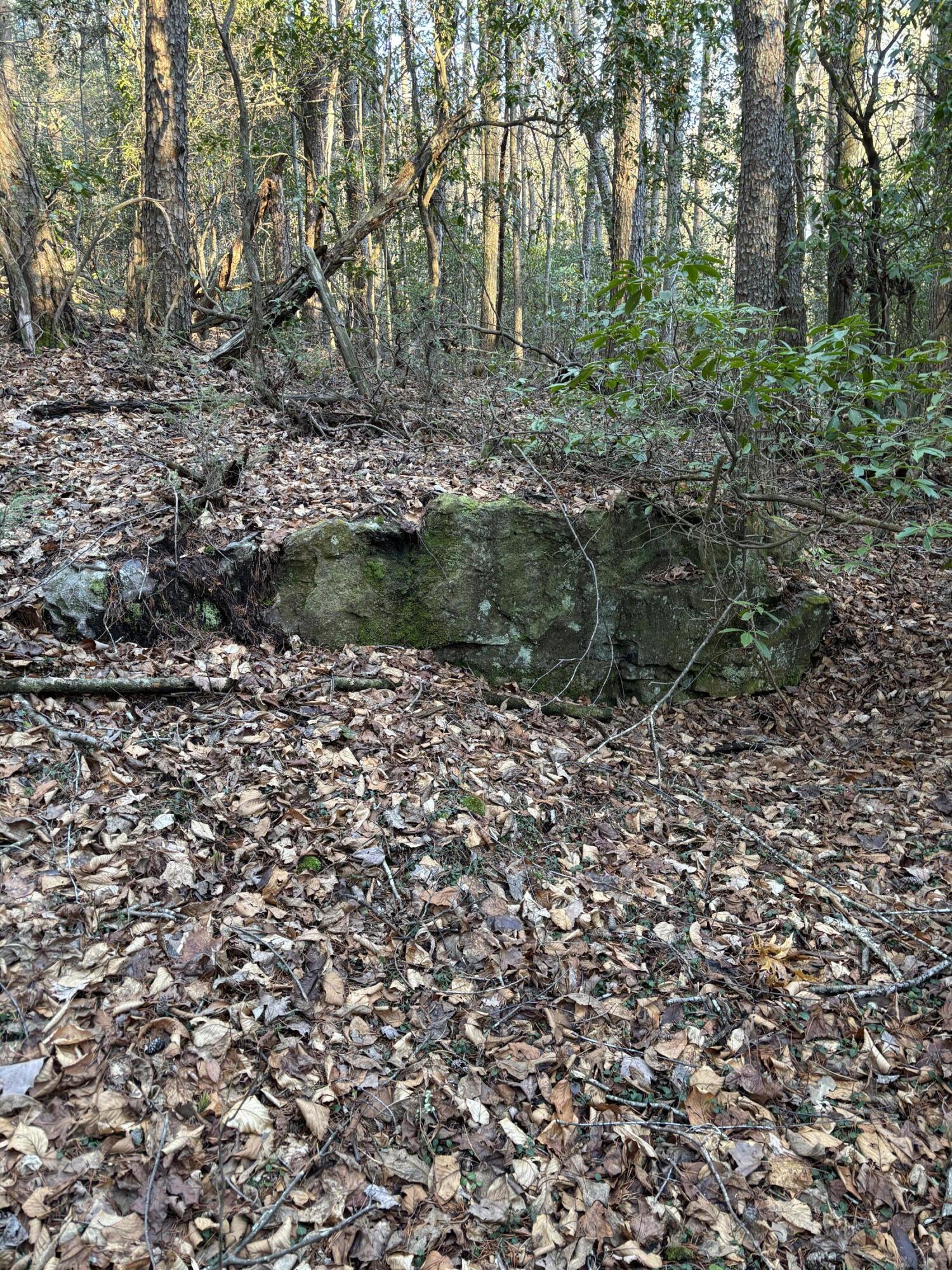 4551 Henson Gap Road Dunlap, TN 37327 - Photo 11 of 31 IMG_0252 (1)