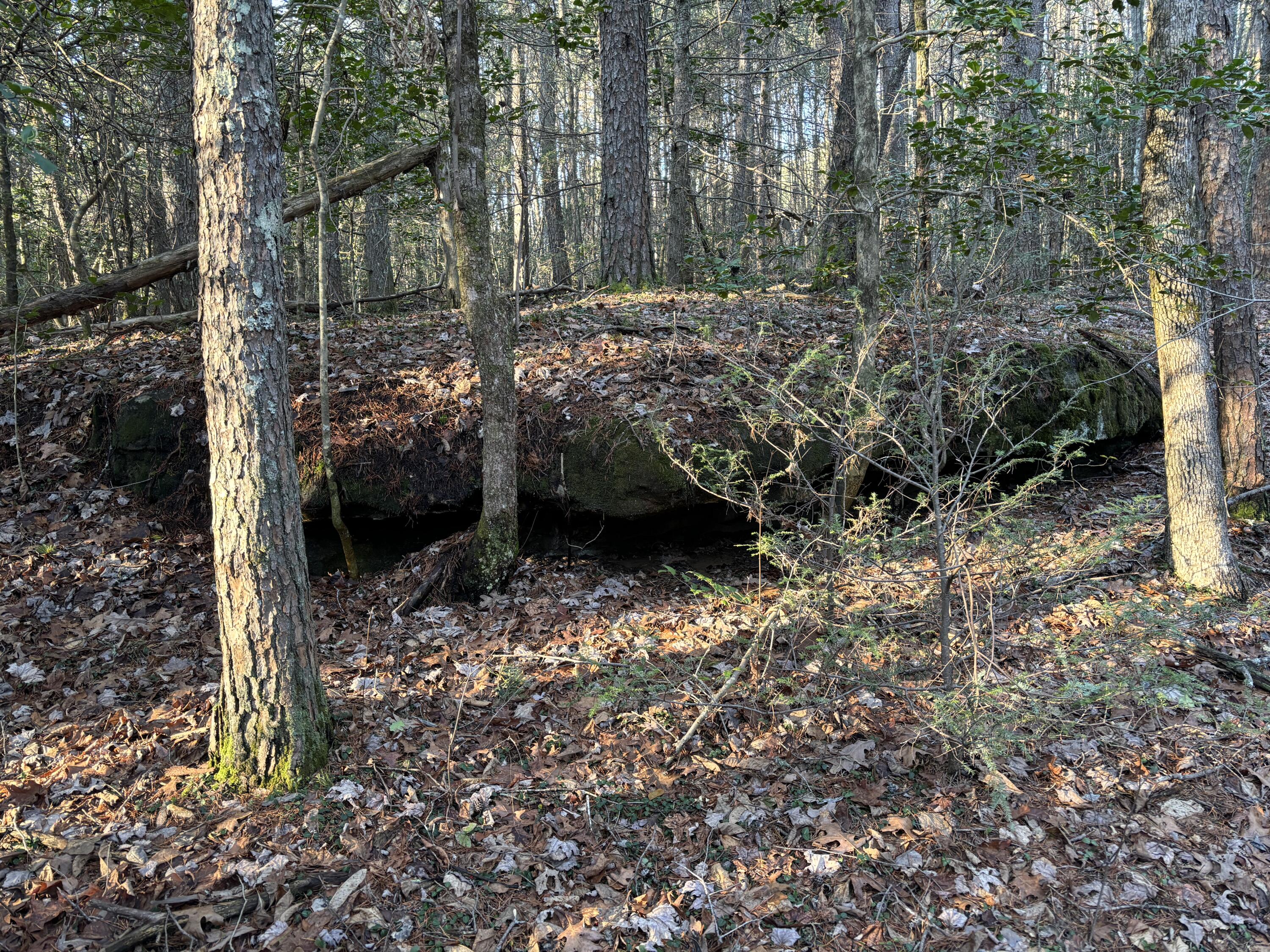 4551 Henson Gap Road Dunlap, TN 37327 - Photo 12 of 31 IMG_0265 (1)