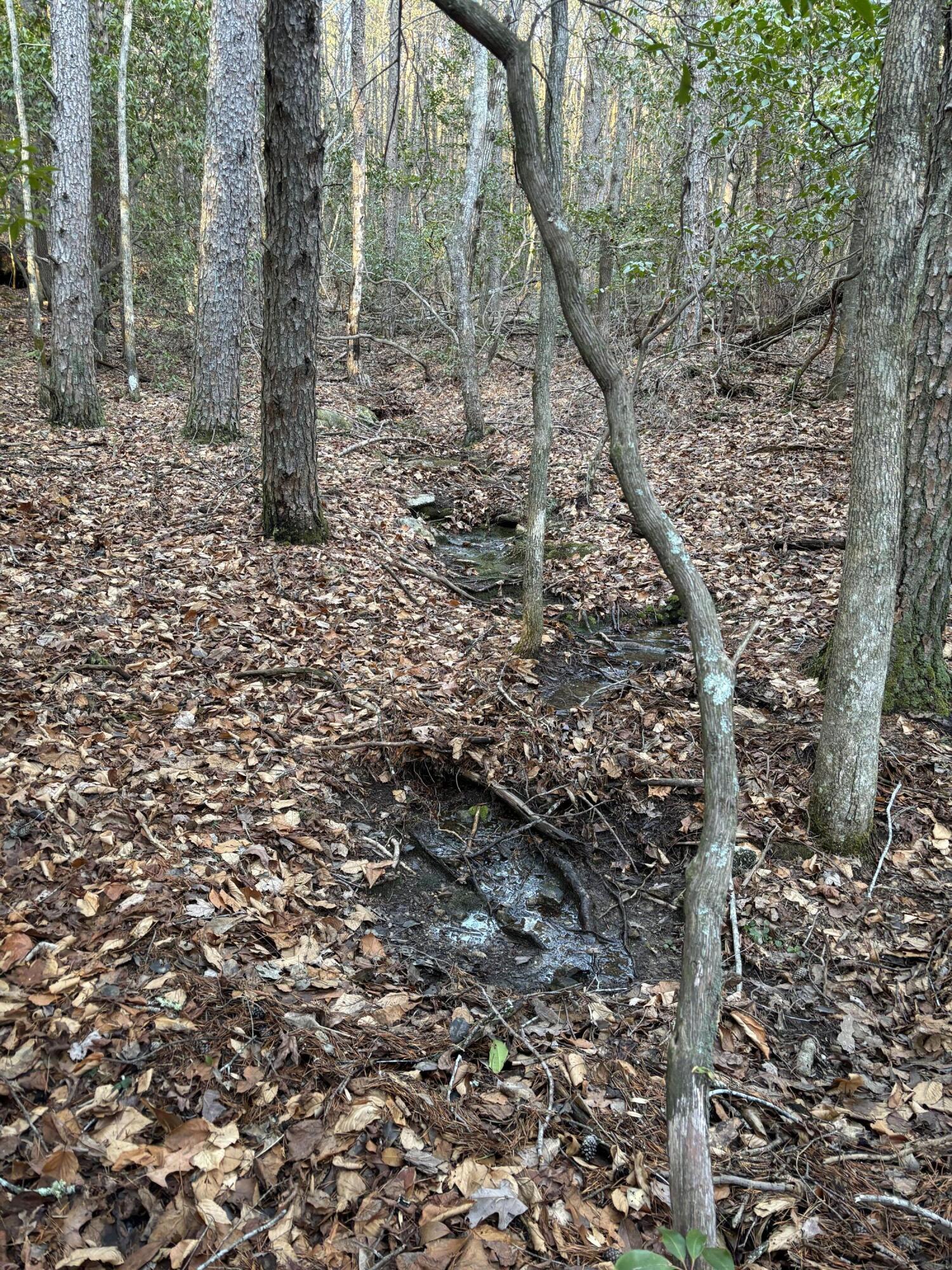 4551 Henson Gap Road Dunlap, TN 37327 - Photo 19 of 31 IMG_0268