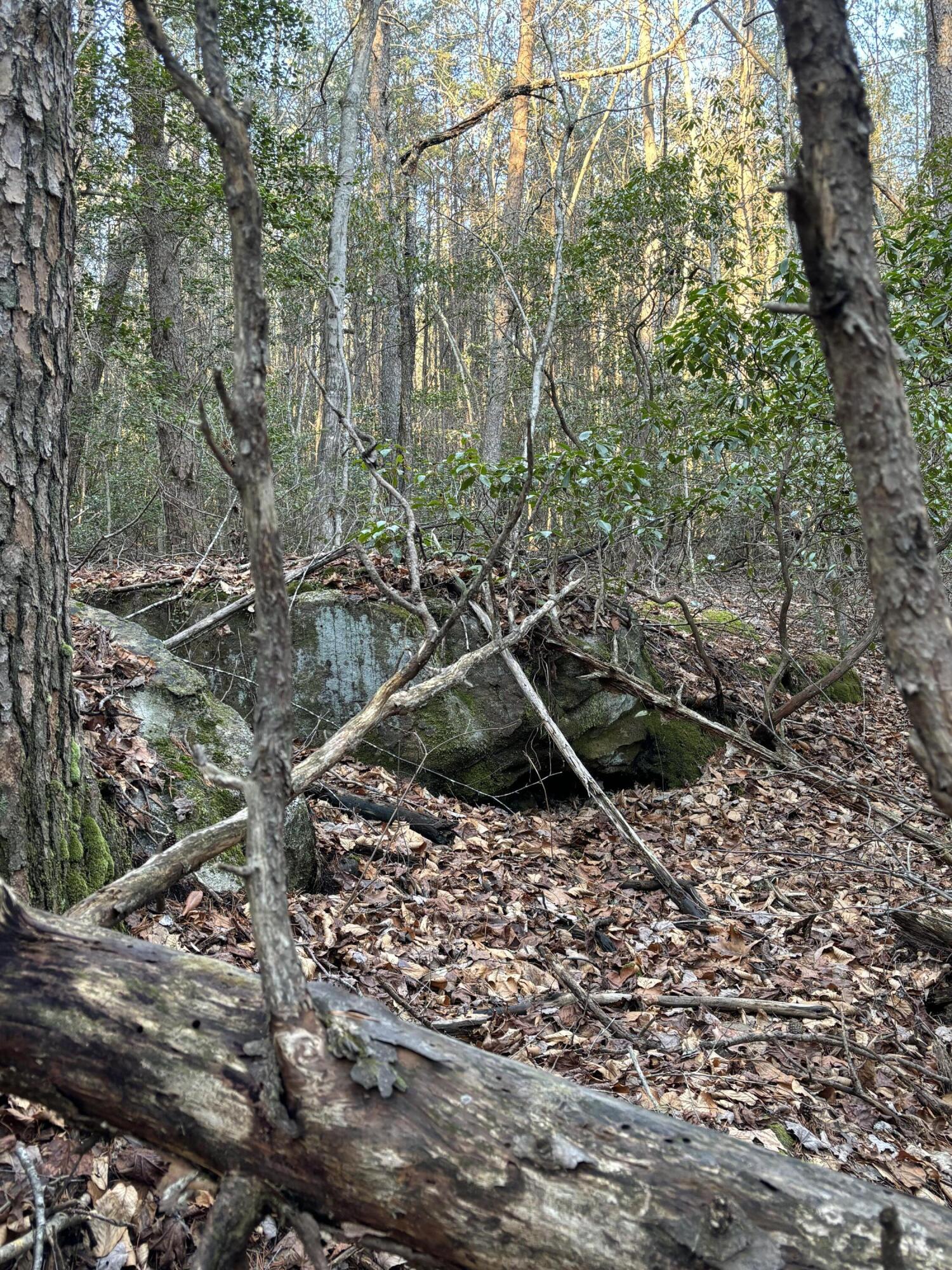 4551 Henson Gap Road Dunlap, TN 37327 - Photo 20 of 31 IMG_0272