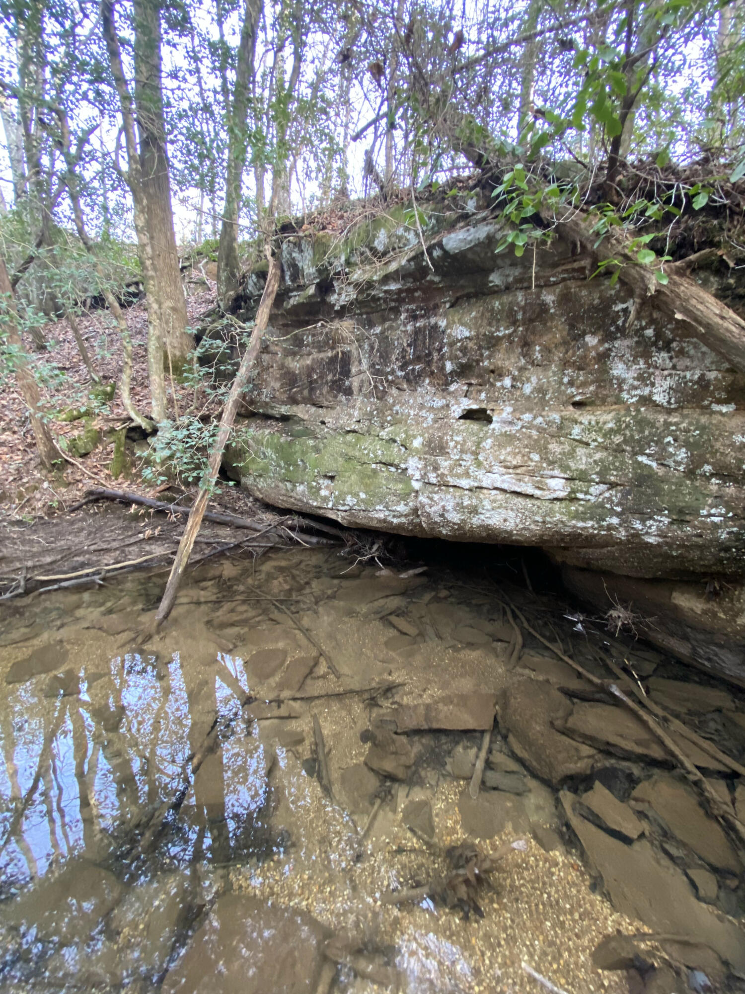 4551 Henson Gap Road Dunlap, TN 37327 - Photo 21 of 31 IMG_6823