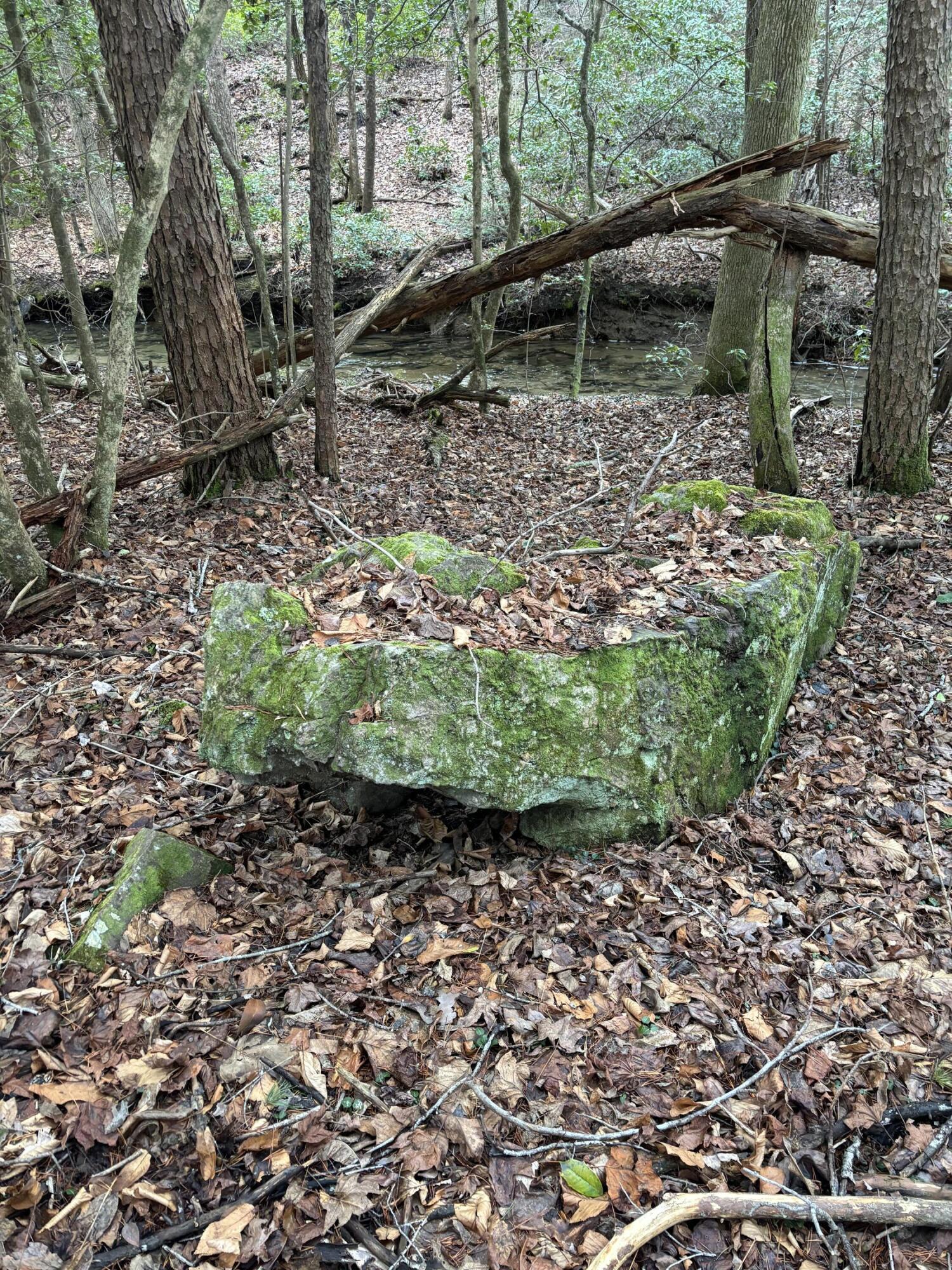 4551 Henson Gap Road Dunlap, TN 37327 - Photo 22 of 31 IMG_0274 (1)