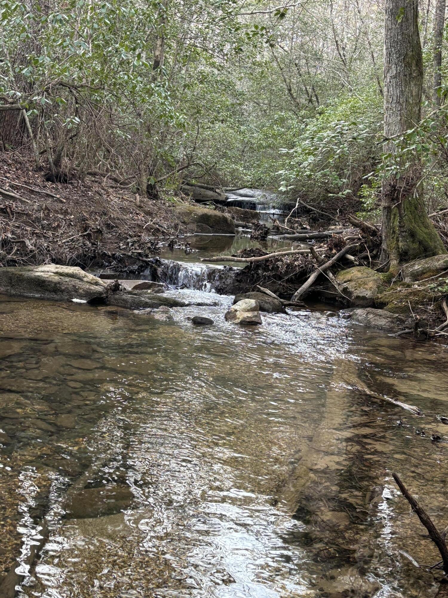 4551 Henson Gap Road Dunlap, TN 37327 - Photo 23 of 31 IMG_0573 (1)
