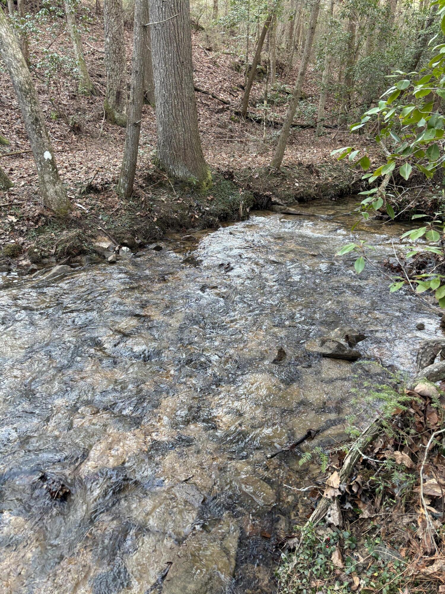 4551 Henson Gap Road Dunlap, TN 37327 - Photo 3 of 31 IMG_0258
