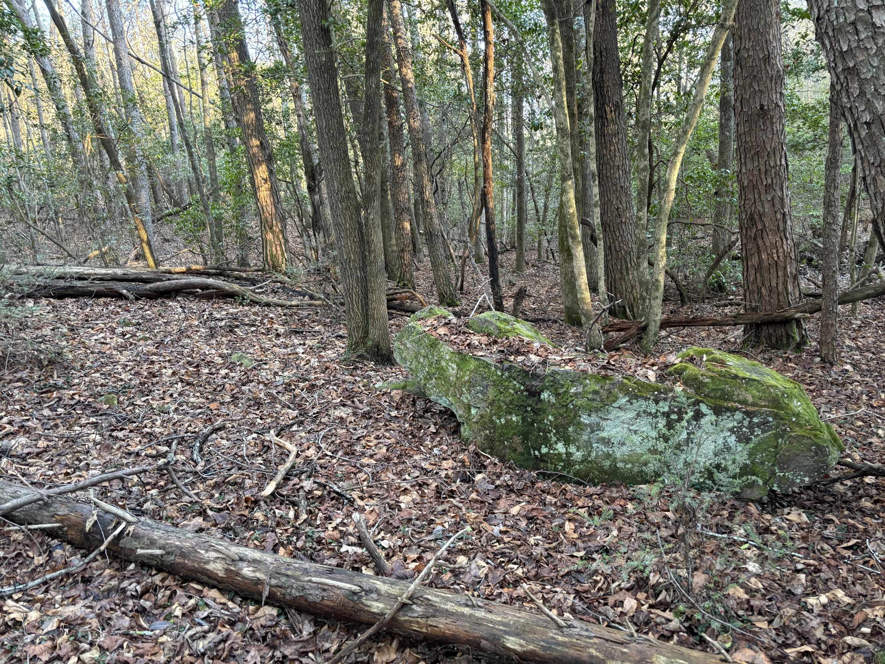 4551 Henson Gap Road Dunlap, TN 37327 - Photo 6 of 31 IMG_0262