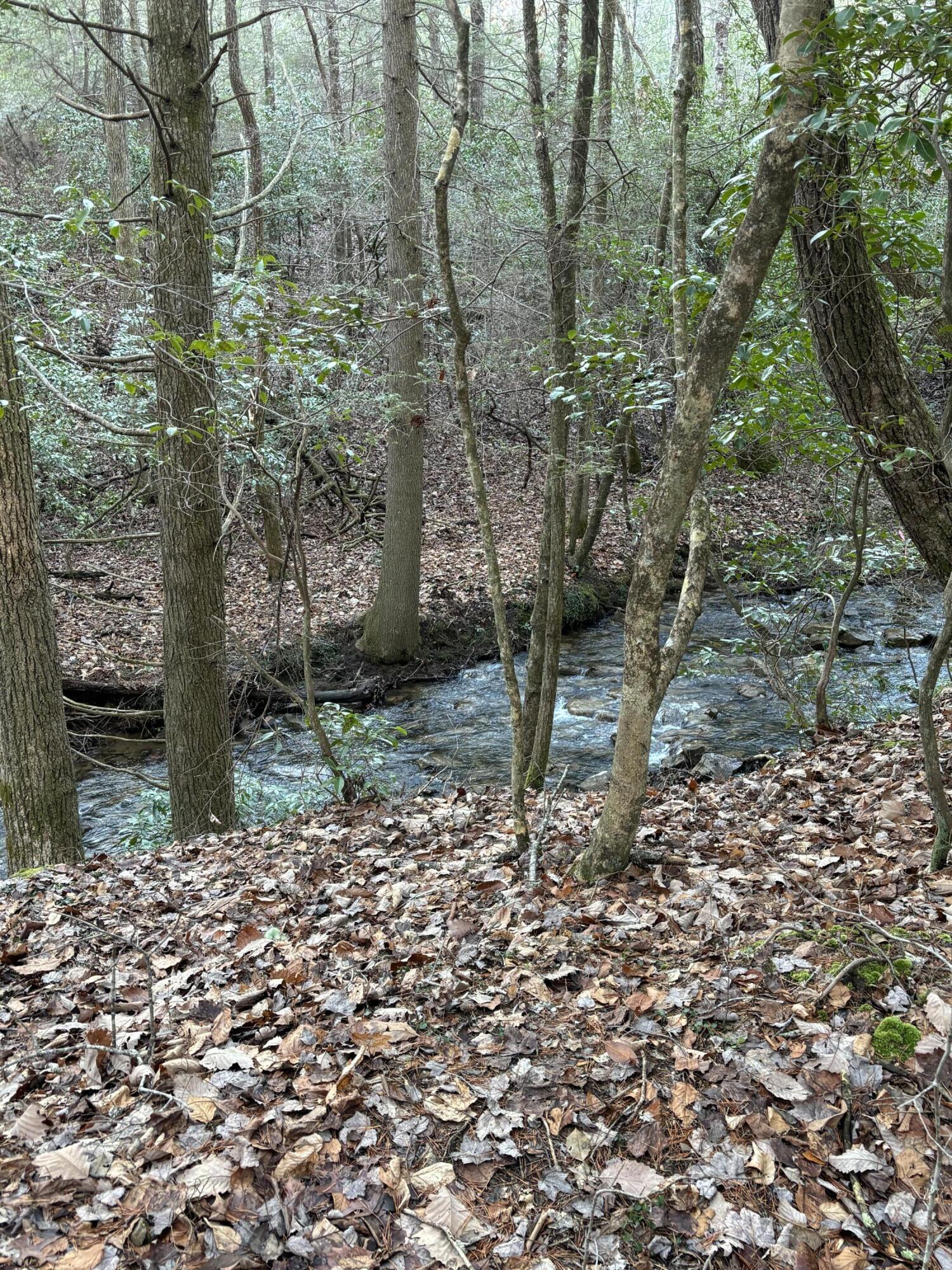 4551 Henson Gap Road Dunlap, TN 37327 - Photo 7 of 31 IMG_0276