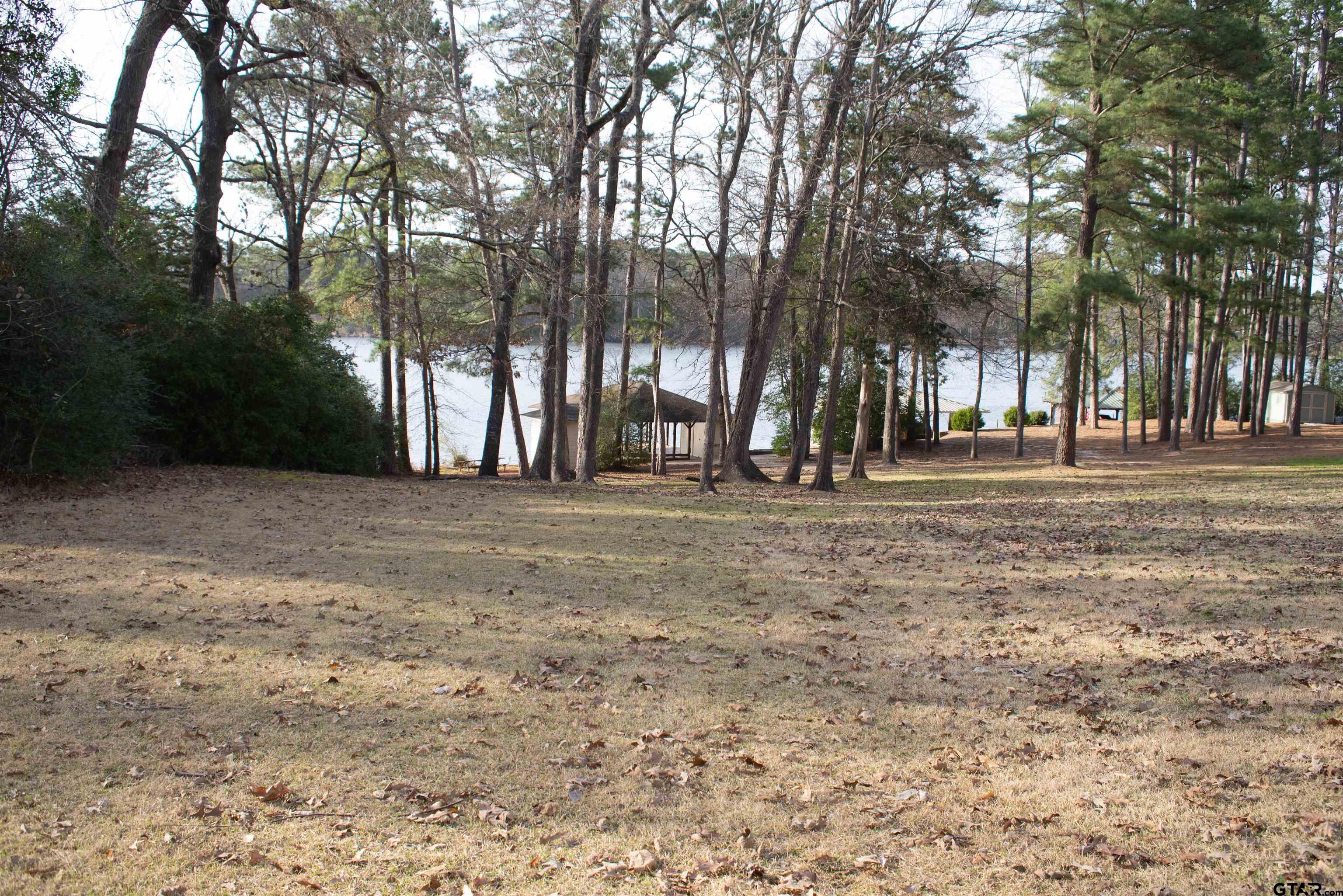 115 Raton Pass Holly Lake Ranch, TX 75765 - Photo 36 of 44