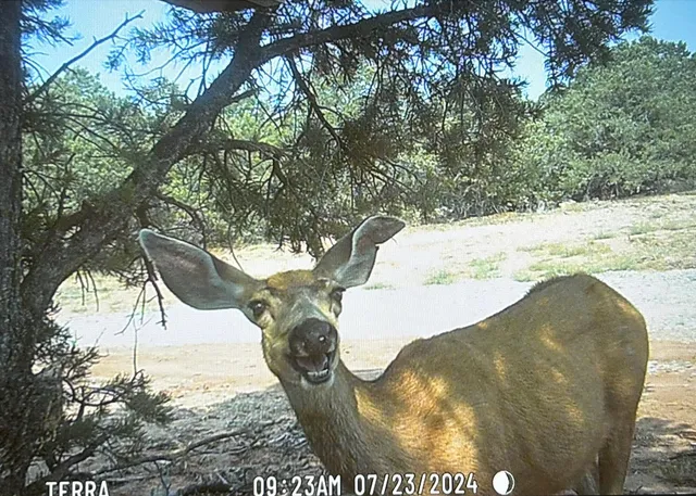 a view of balcony with furniture