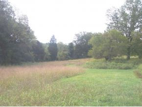 401 Thomas Acres Road Kingsport, TN 37664 - Photo 8 of 24 Photo 8