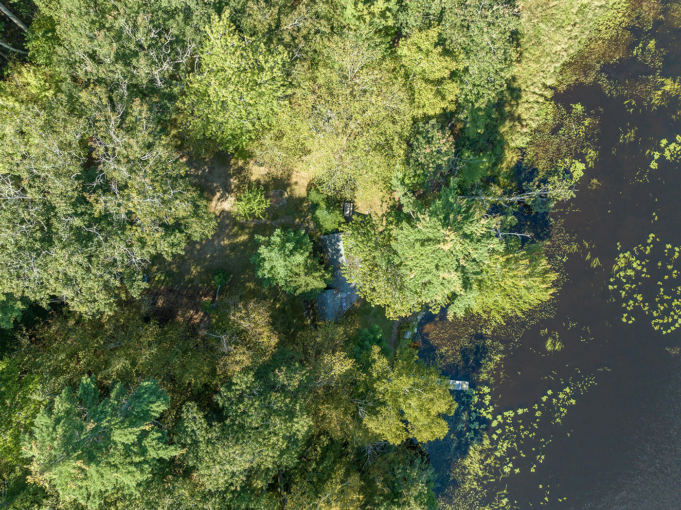 401 Pond Road Searsmont, ME 04973 - Photo 21 of 36 DJI_0646