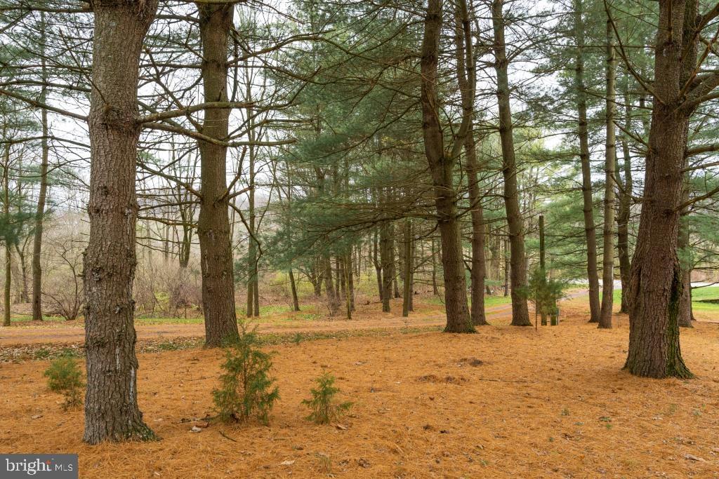 587 Chestnut Hill Road Denver, PA 17517 - Photo 40 of 97