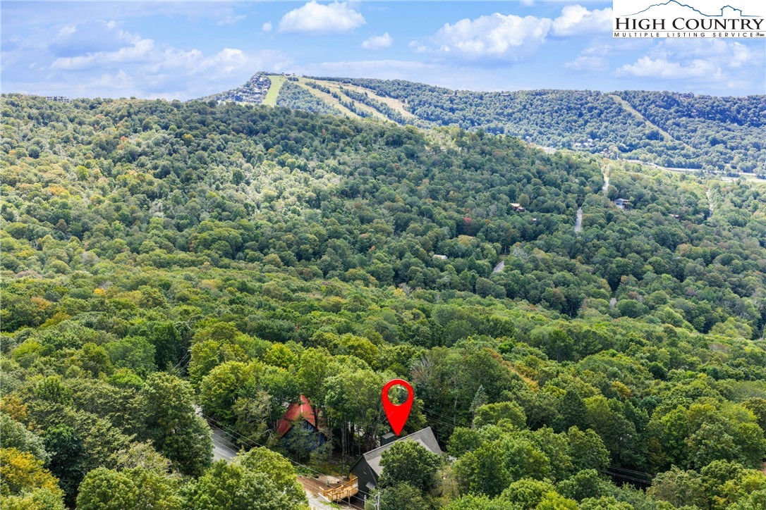 1017 Charter Hills Road Beech Mountain, NC 28604 - Photo 4 of 29