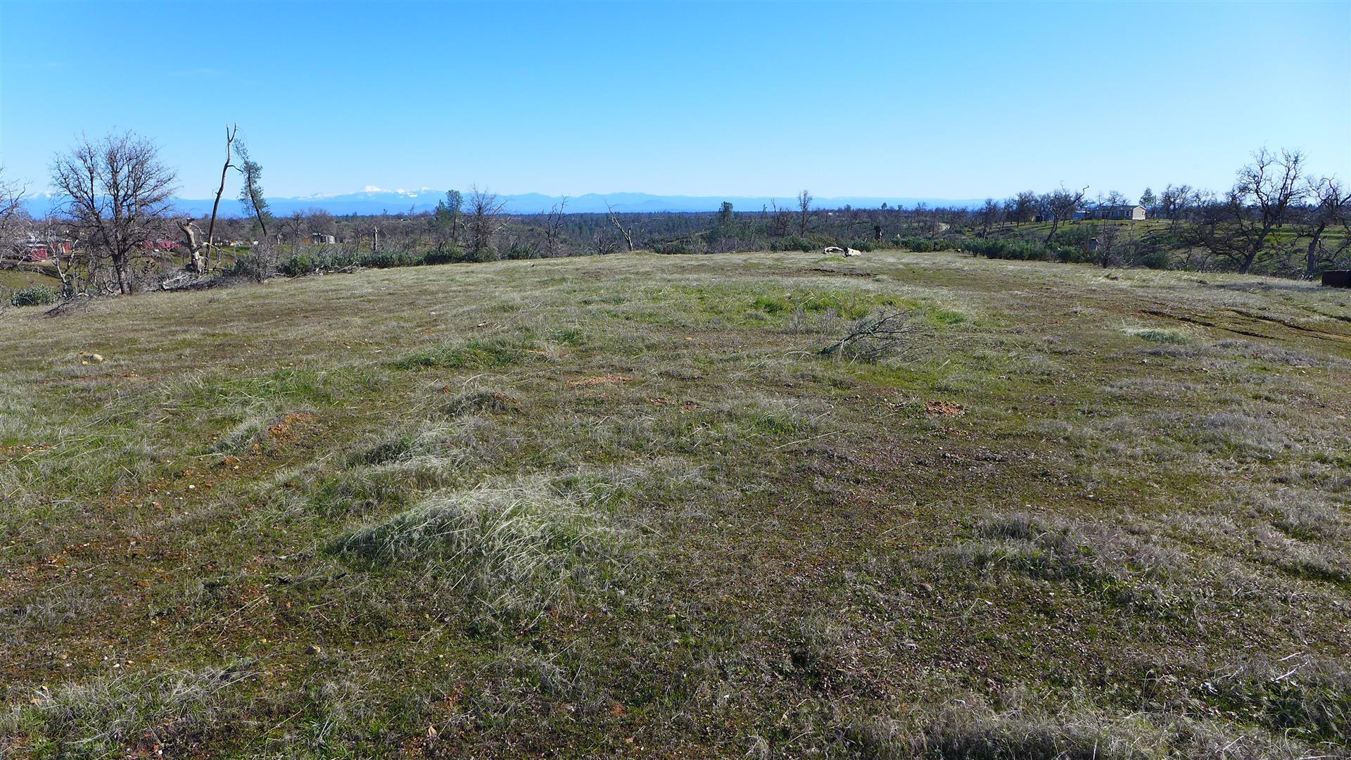 12-acres Small Farms Road Igo, CA 96047 - Photo 1 of 12 a view of a lake from a yard