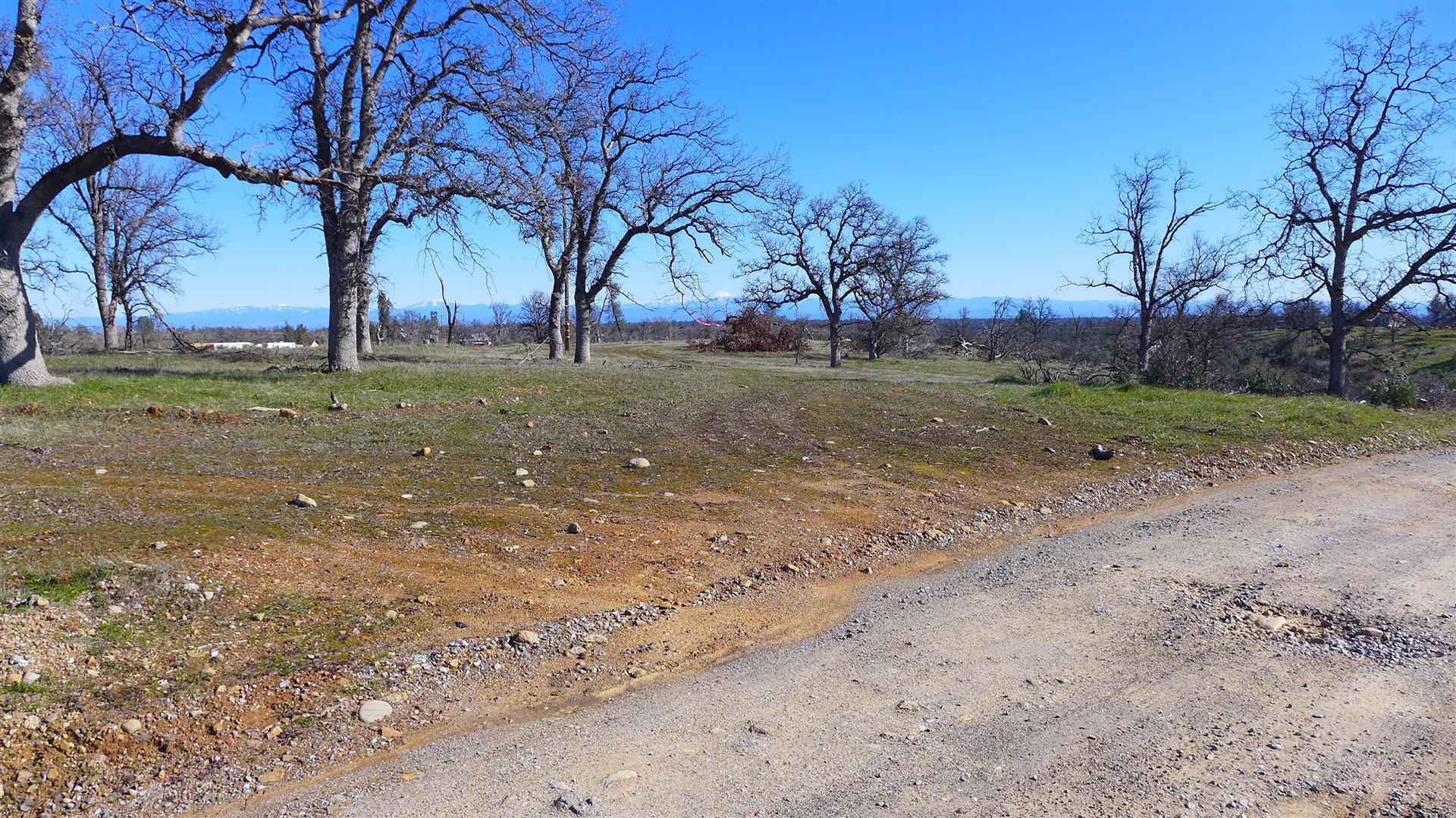 12-acres Small Farms Road Igo, CA 96047 - Photo 3 of 12
