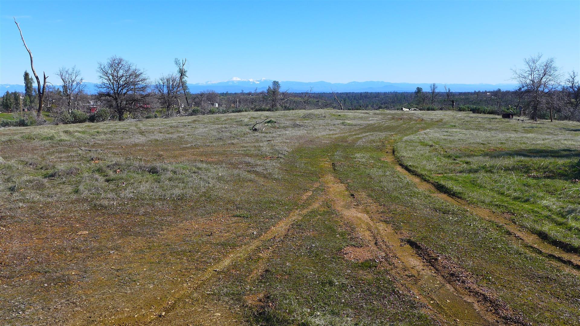 12-acres Small Farms Road Igo, CA 96047 - Photo 5 of 12 a view of a field with trees in the background