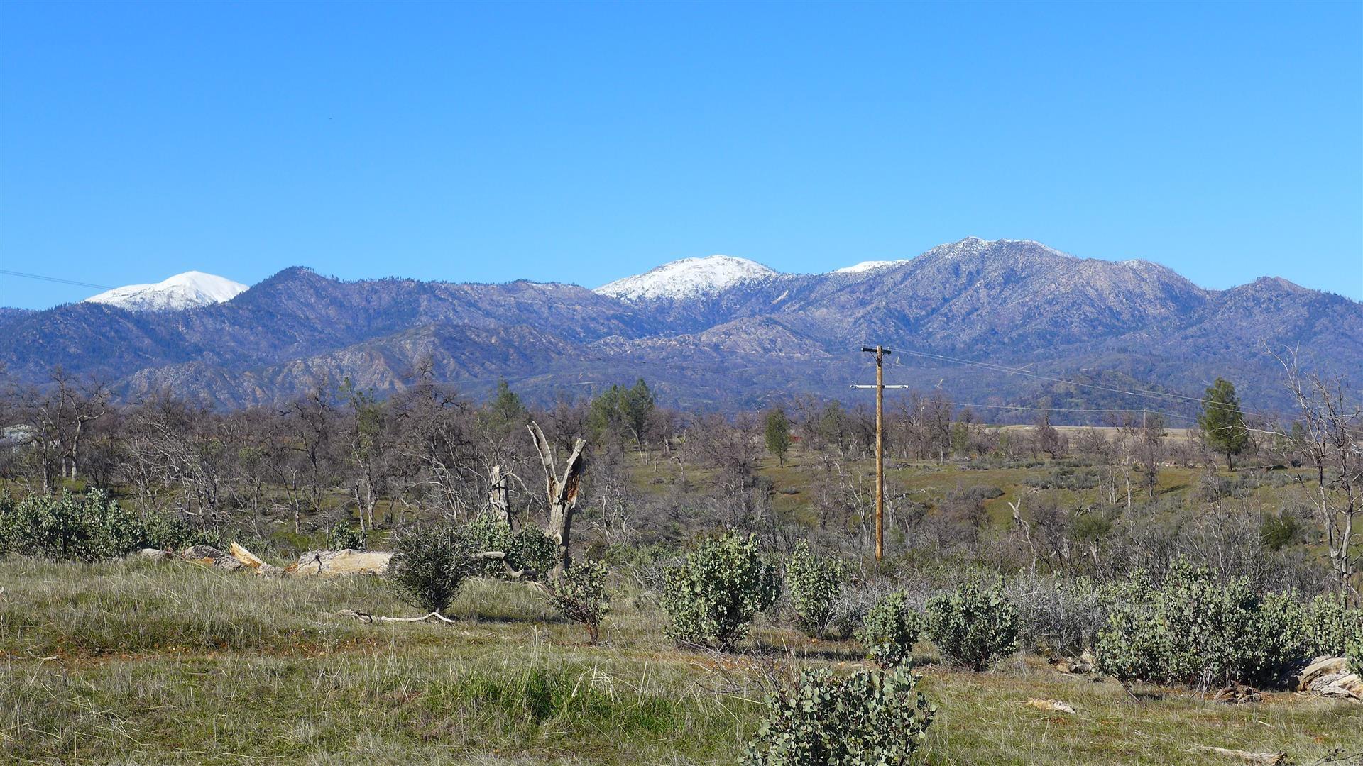 12-acres Small Farms Road Igo, CA 96047 - Photo 8 of 12 a view of a dry forest