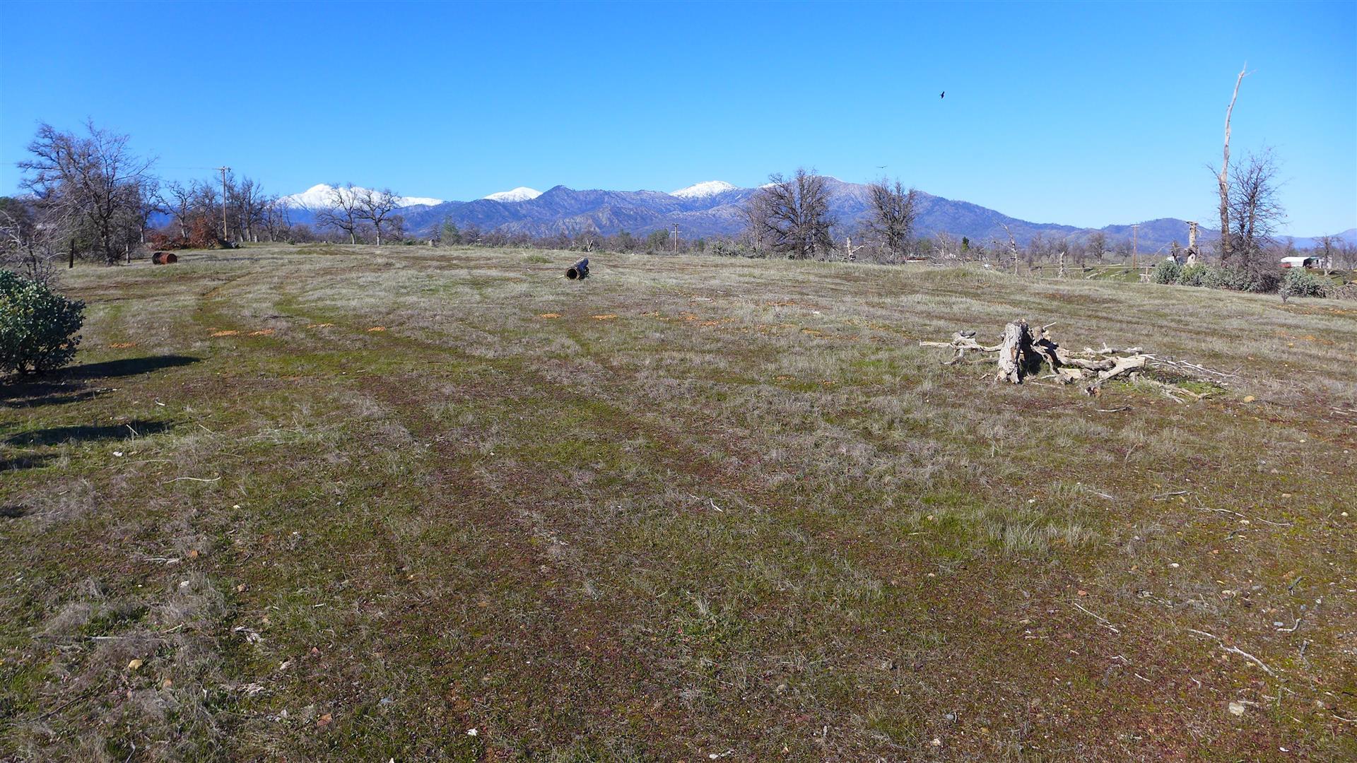12-acres Small Farms Road Igo, CA 96047 - Photo 9 of 12 a view of an outdoor space and mountain view