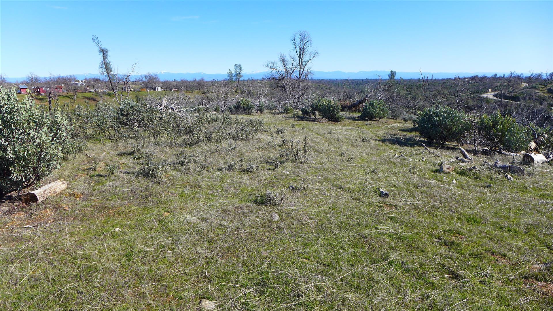 12-acres Small Farms Road Igo, CA 96047 - Photo 10 of 12 a view of a field