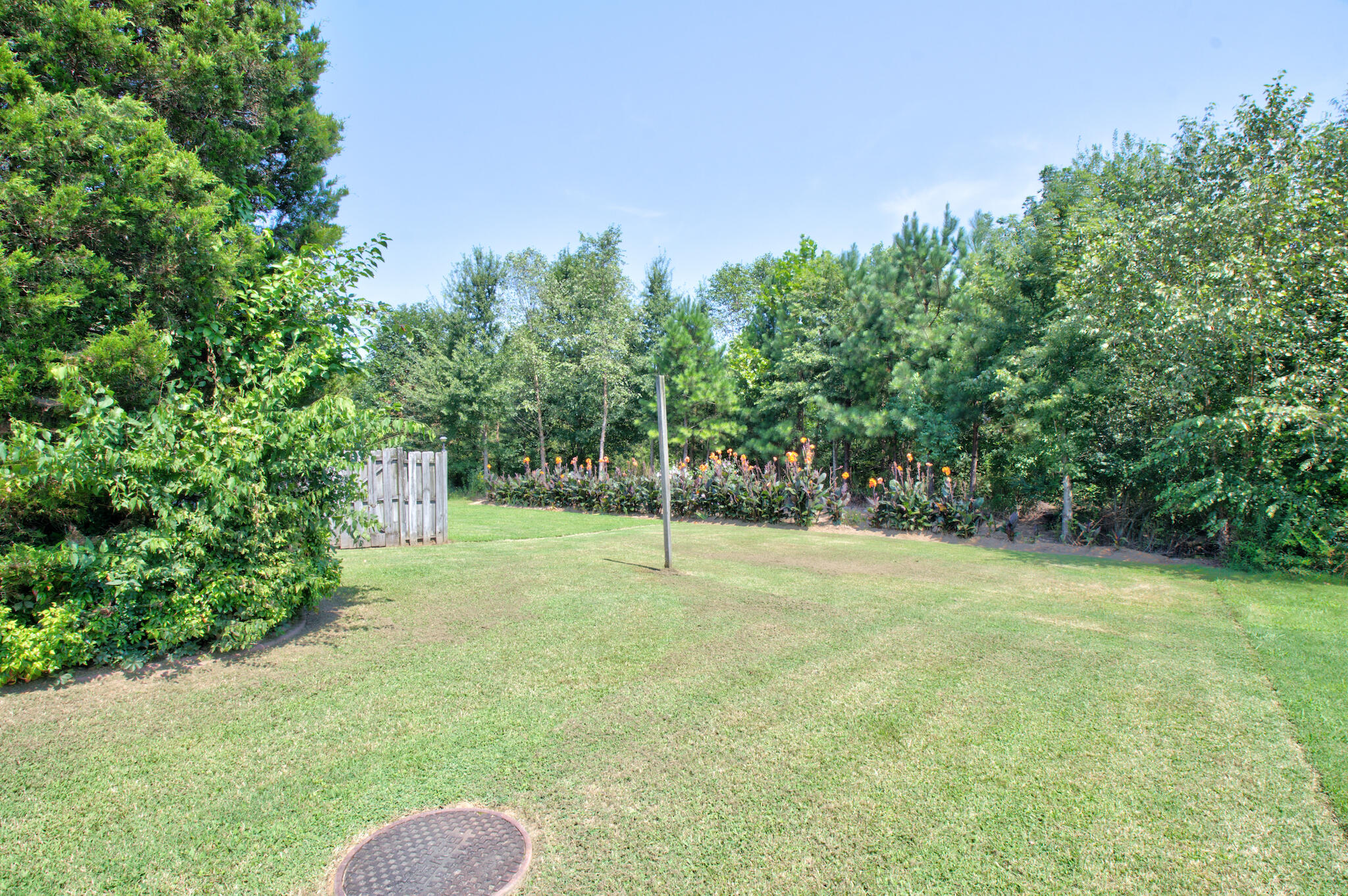 6707 Hickory Brook Road Chattanooga, TN 37421 - Photo 36 of 42 Back yard