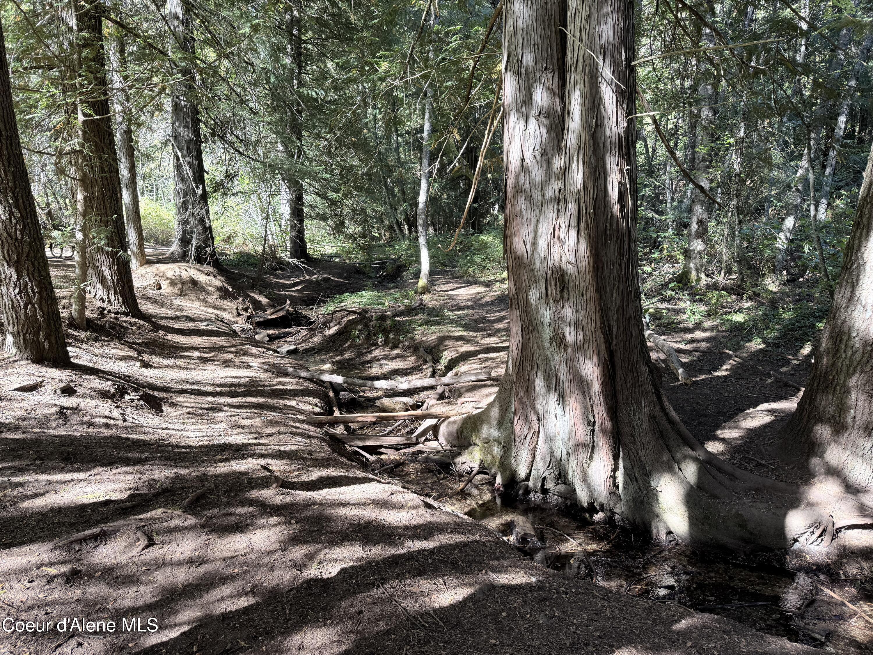 Nka West Barrett Drive Rathdrum, ID 83858 - Photo 17 of 19 IMG_4386