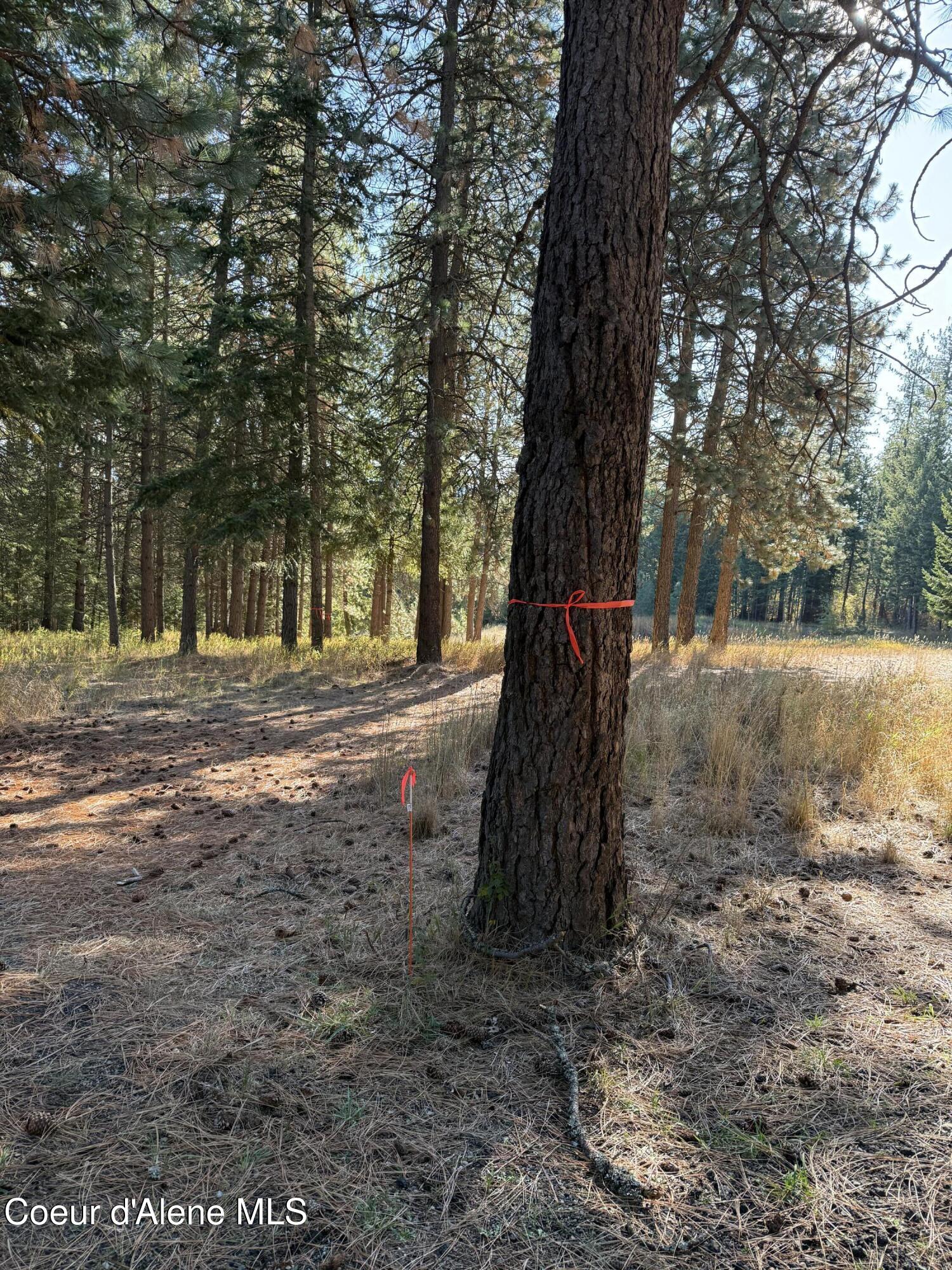 Nka West Barrett Drive Rathdrum, ID 83858 - Photo 5 of 19 IMG_4484